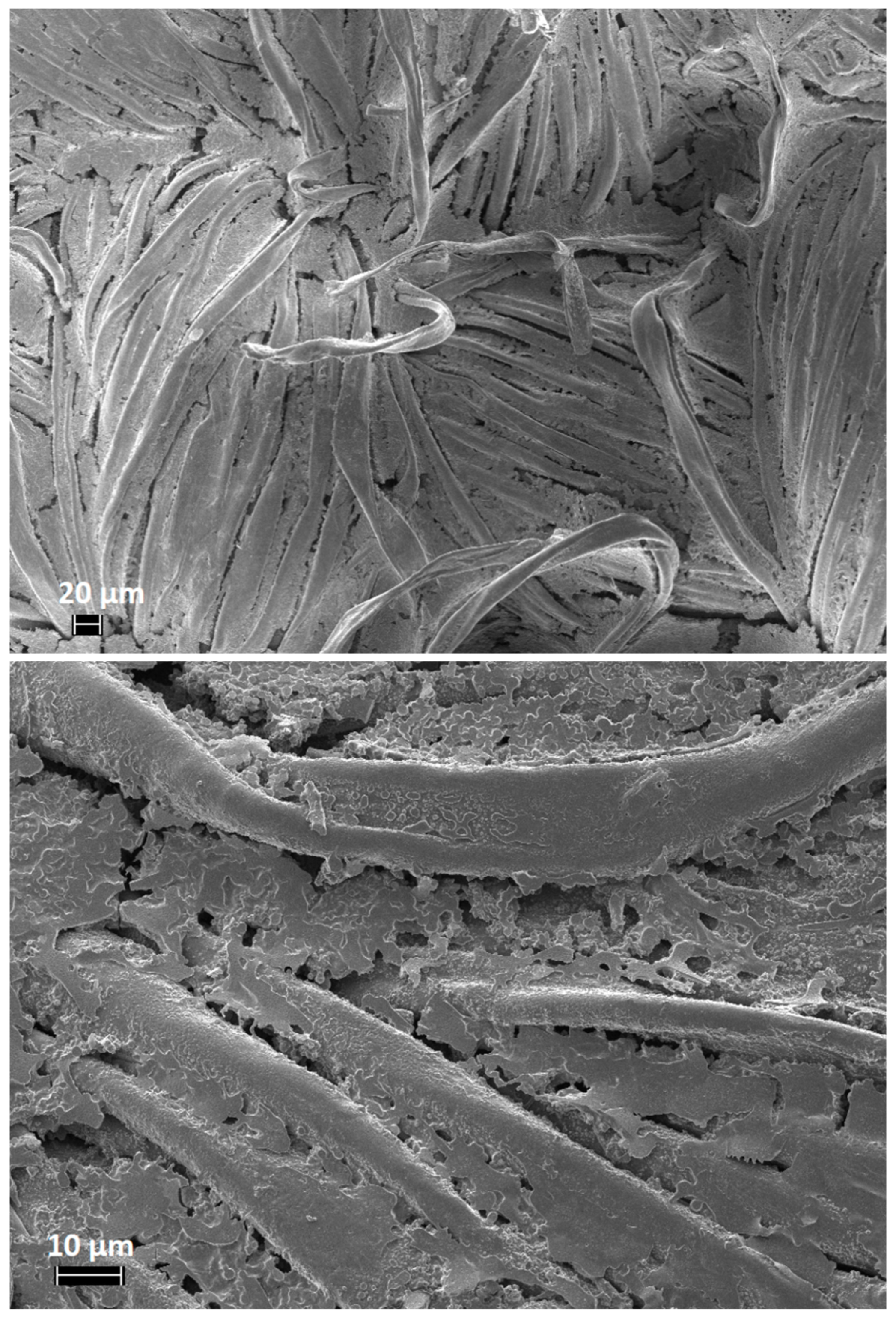 Polymers 11 01664 g006 550