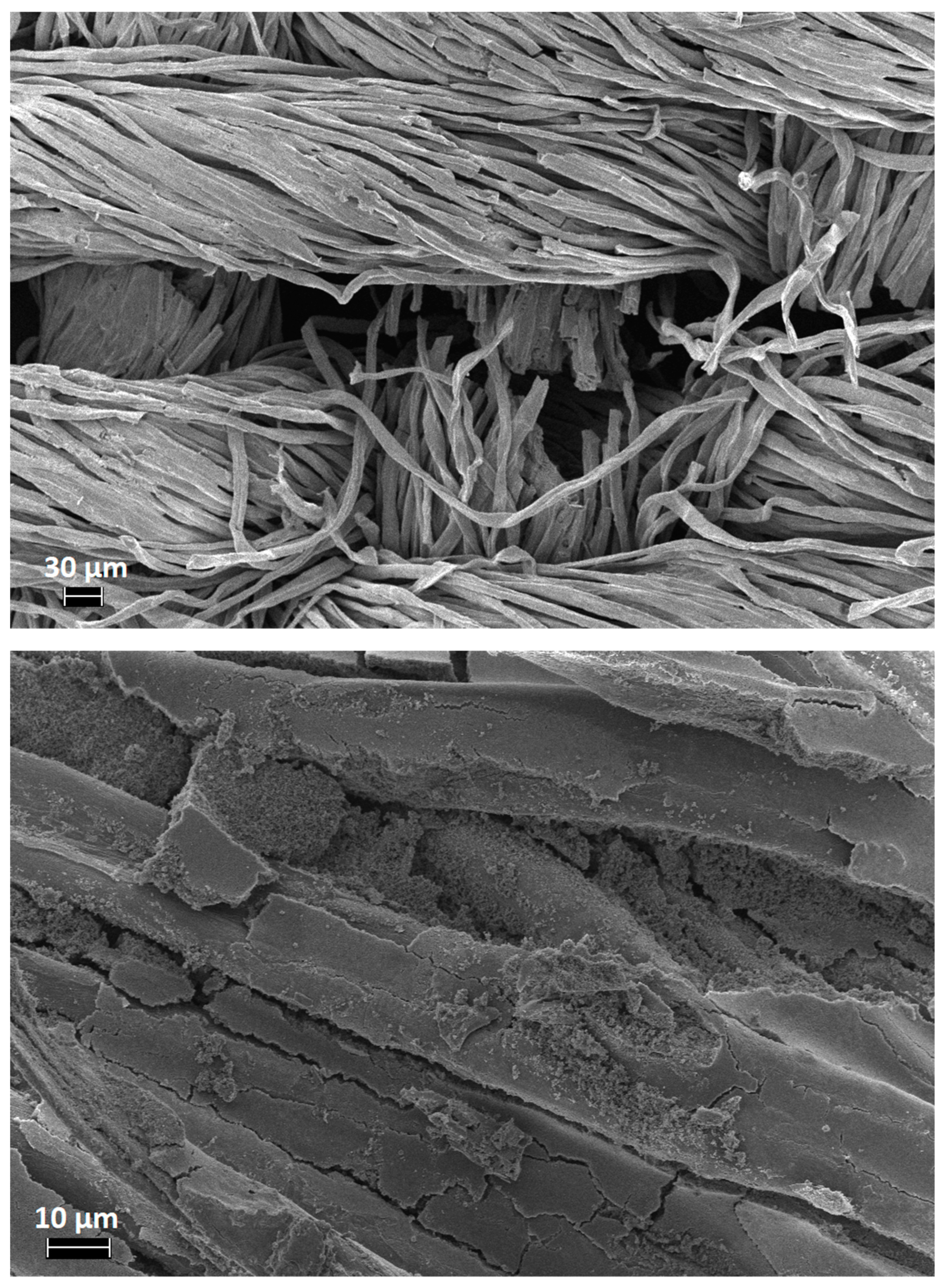 Polymers 11 01664 g012 550