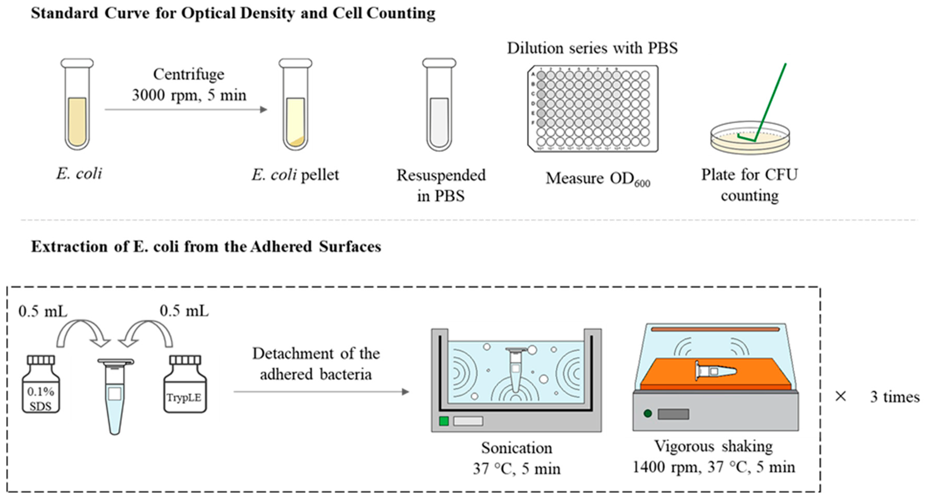 Extraction method. Cell counting Kit - 8. Colony-forming Unit -CFU. Colorimetric method. Quantification коды.
