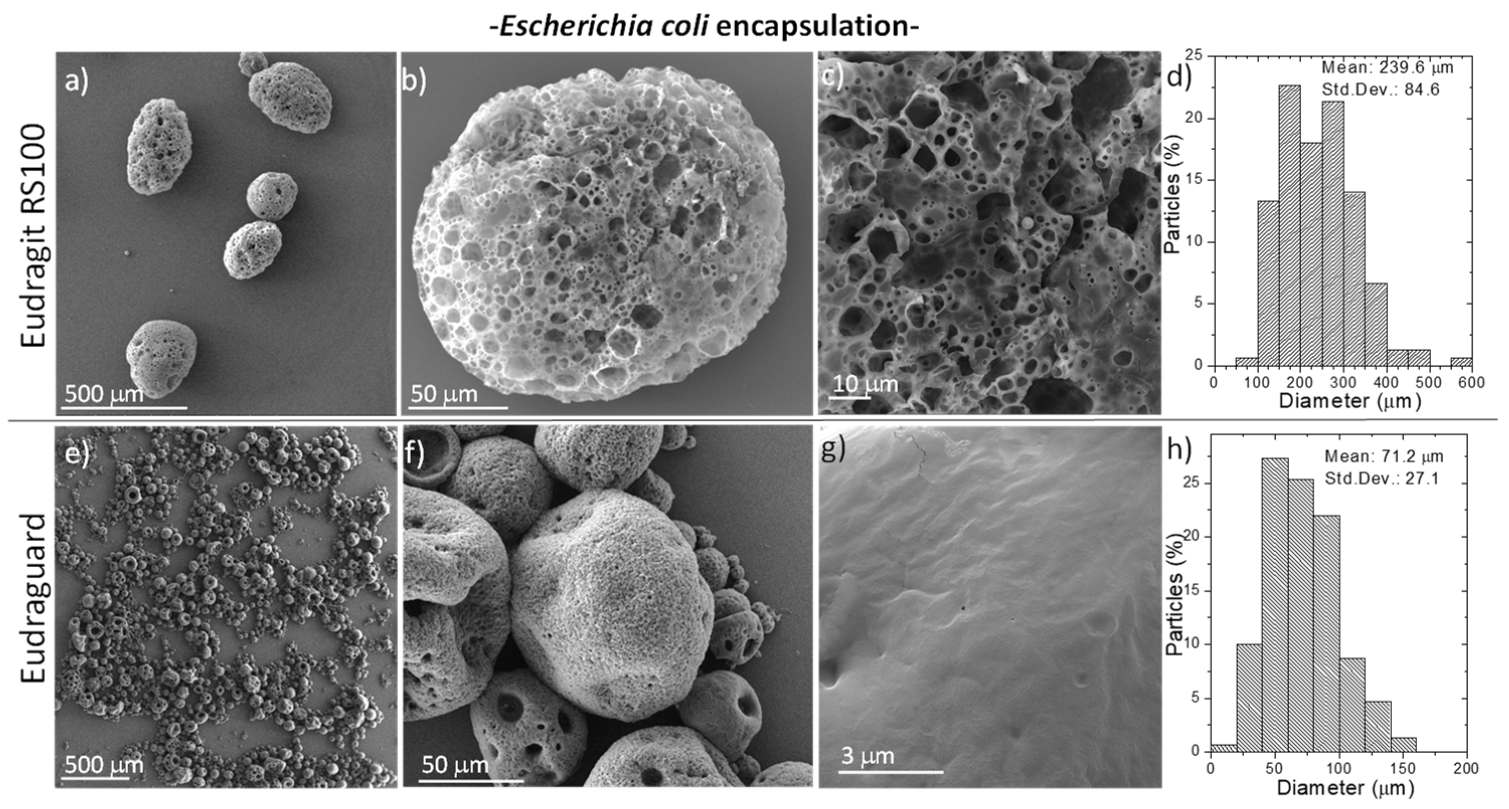Polymers 11 01668 g003