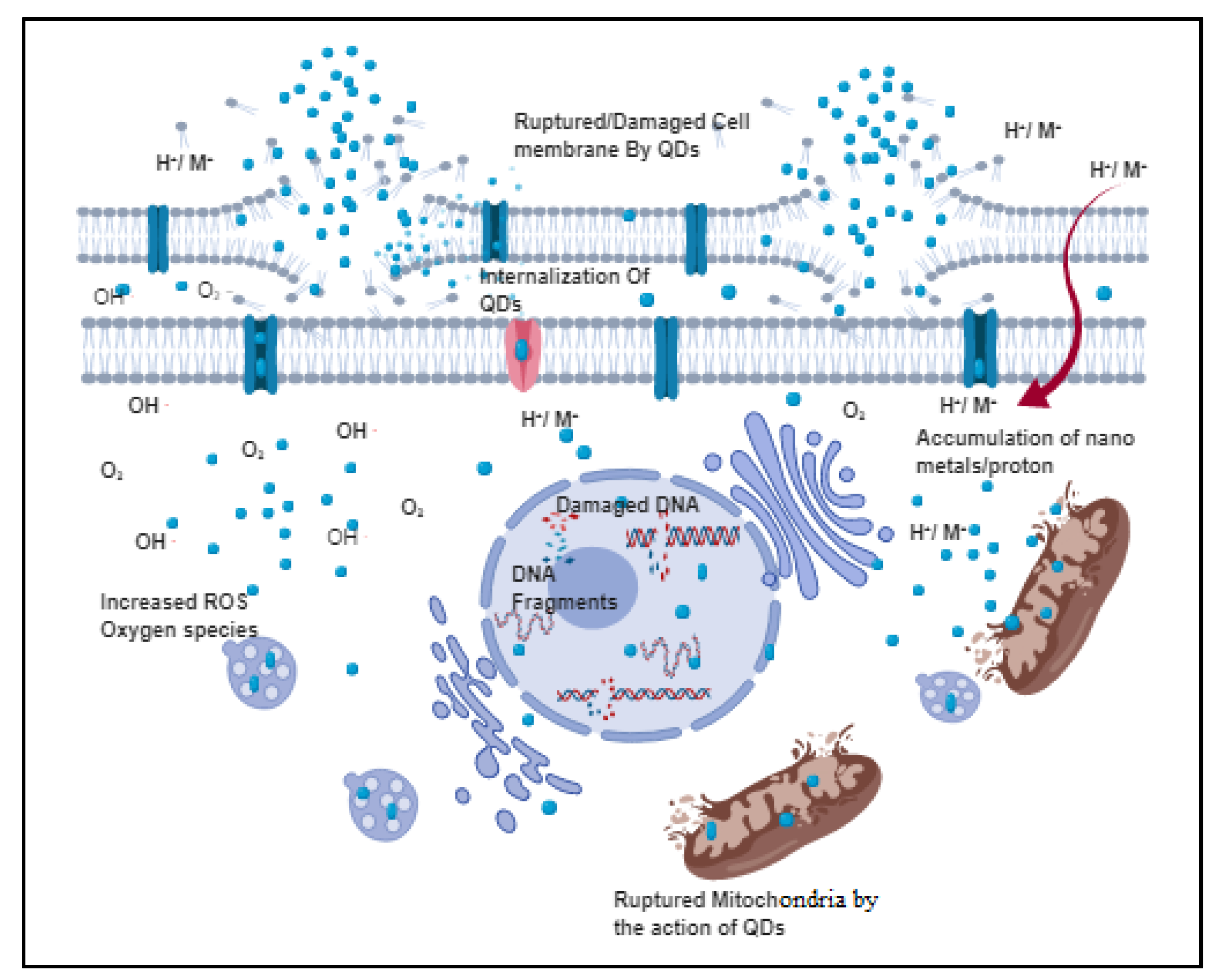 Polymers 11 01670 g001 Polymers 11 01670 g001