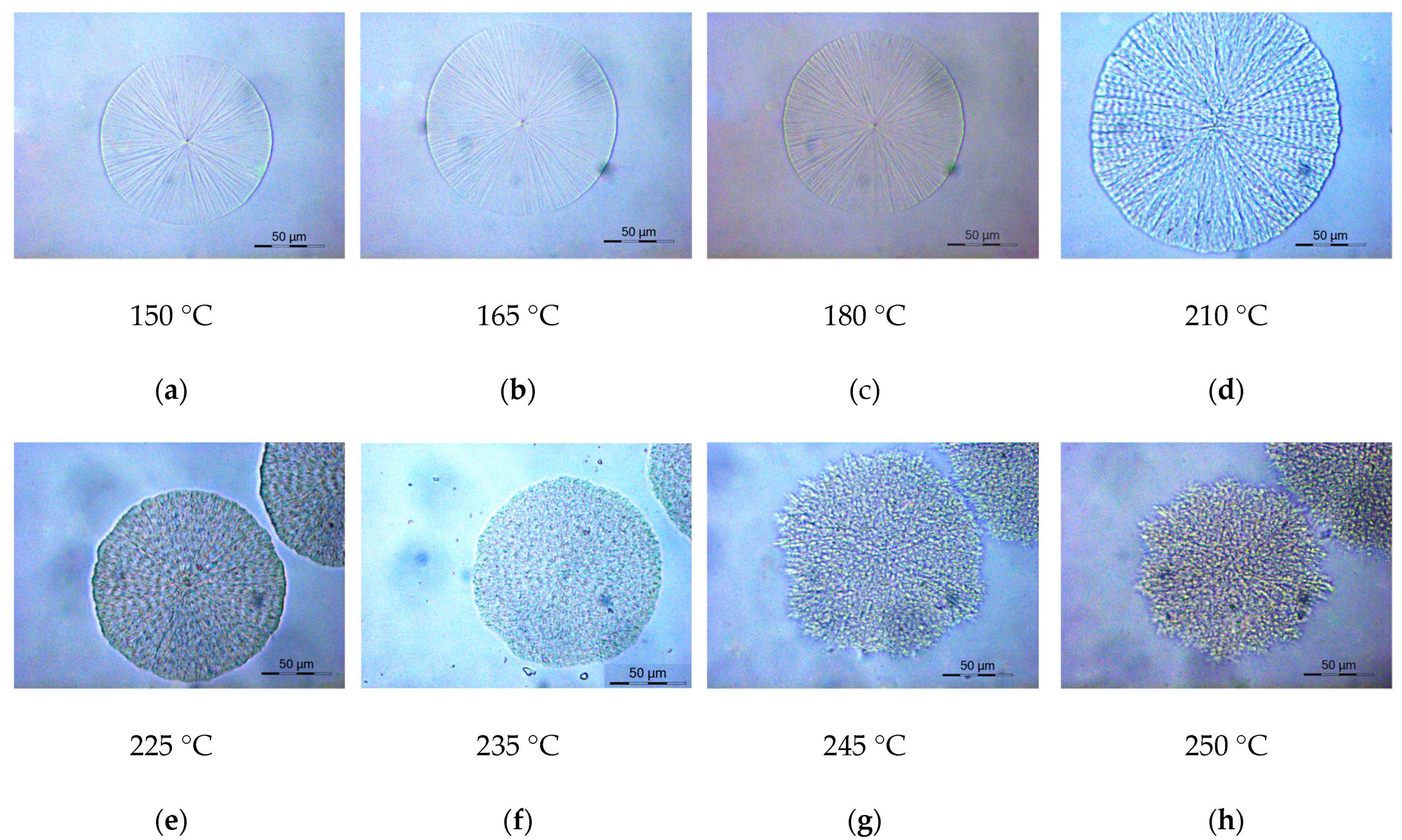 Polymers 11 01672 g010 Polymers 11 01672 g010