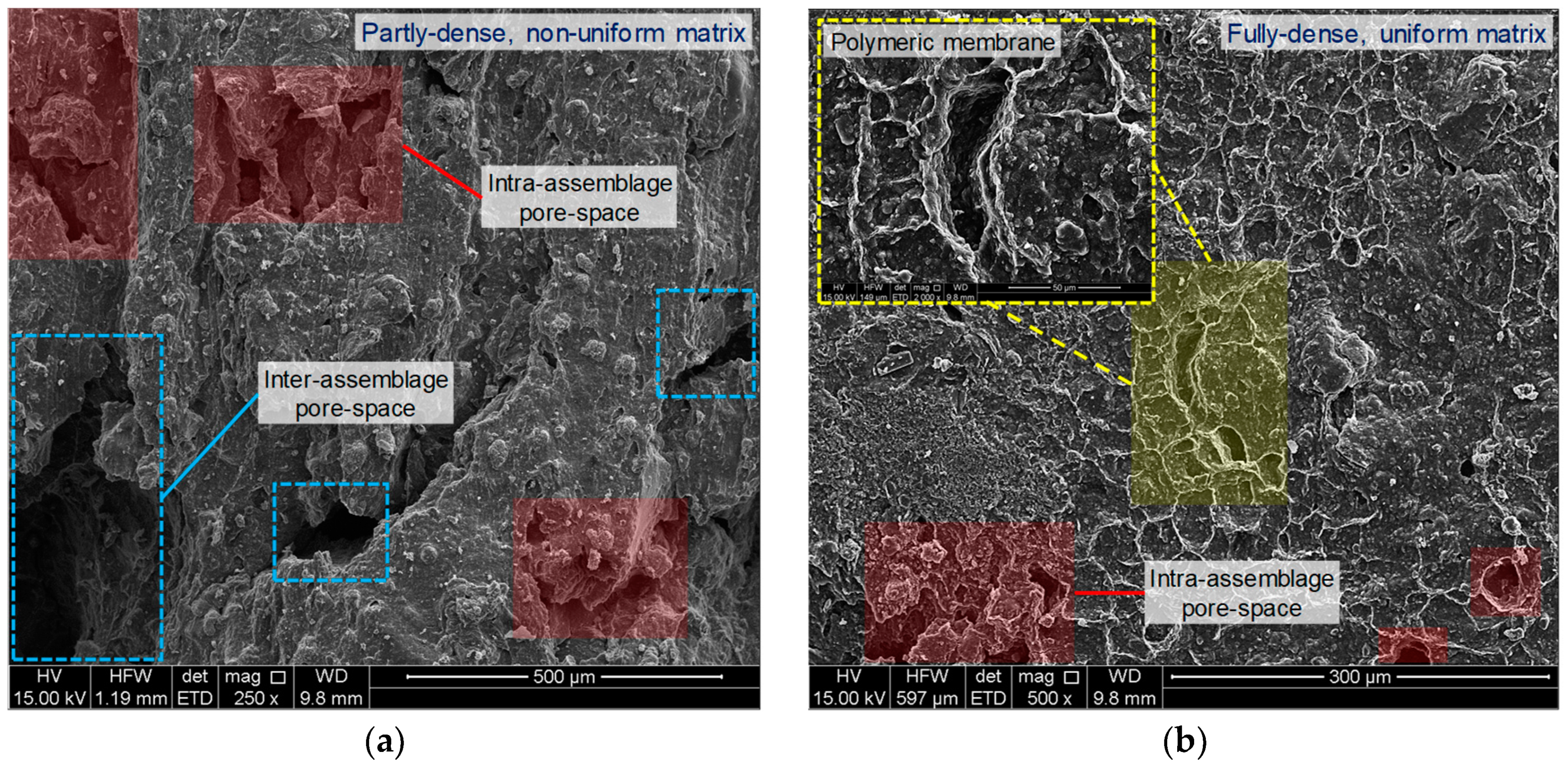 Polymers 11 01675 g010