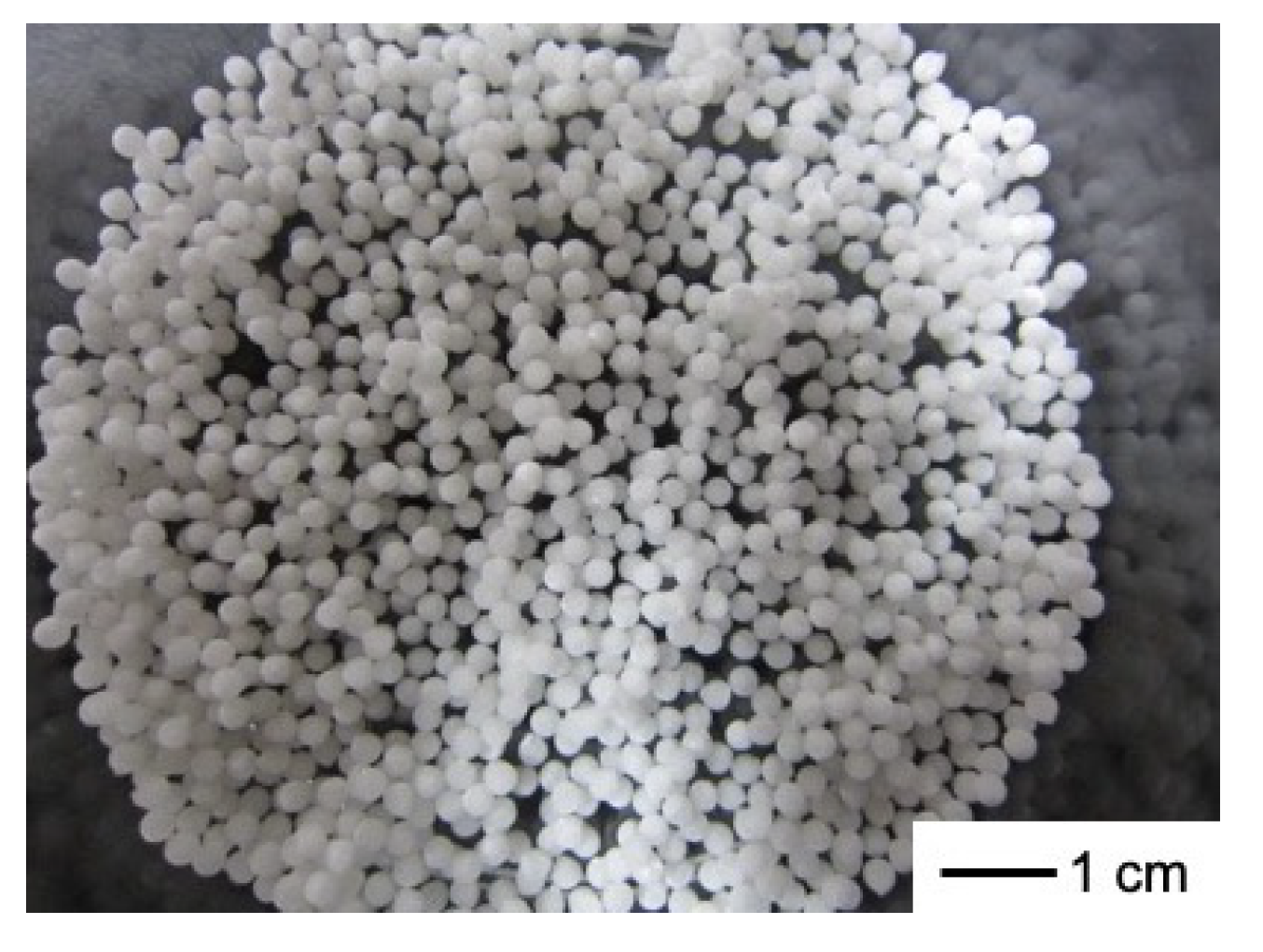 Polymers 11 01676 g002 Polymers 11 01676 g002