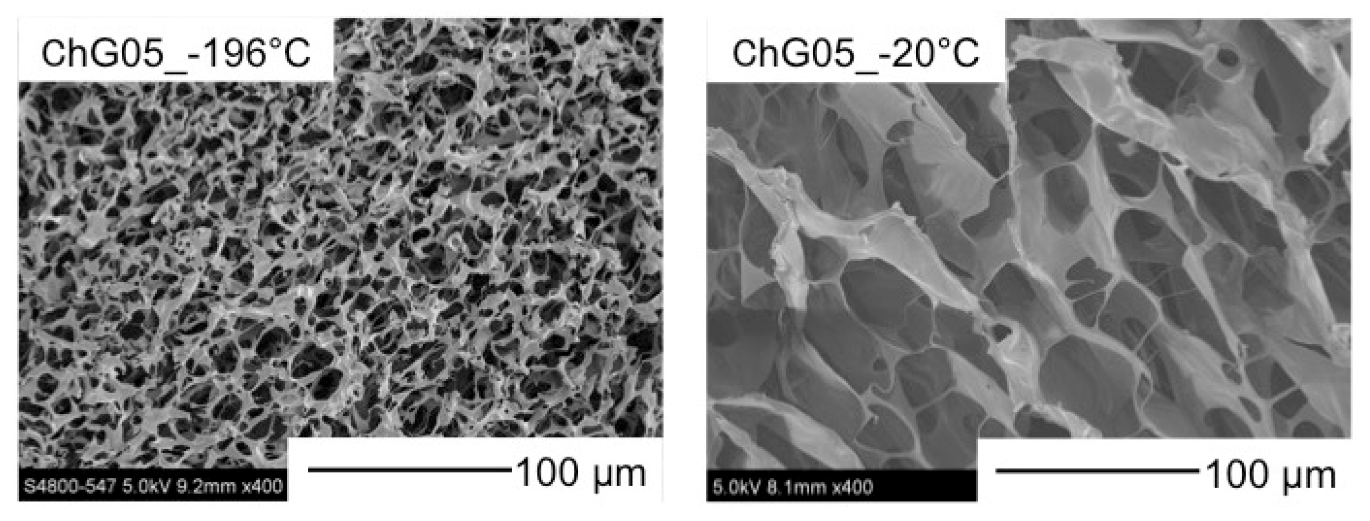 Polymers 11 01676 g004 Polymers 11 01676 g004