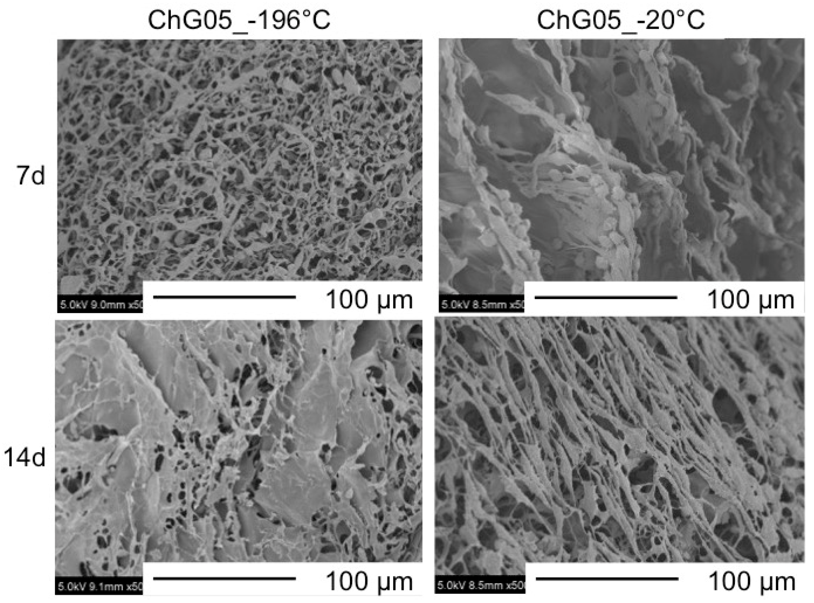Polymers 11 01676 g006 Polymers 11 01676 g006