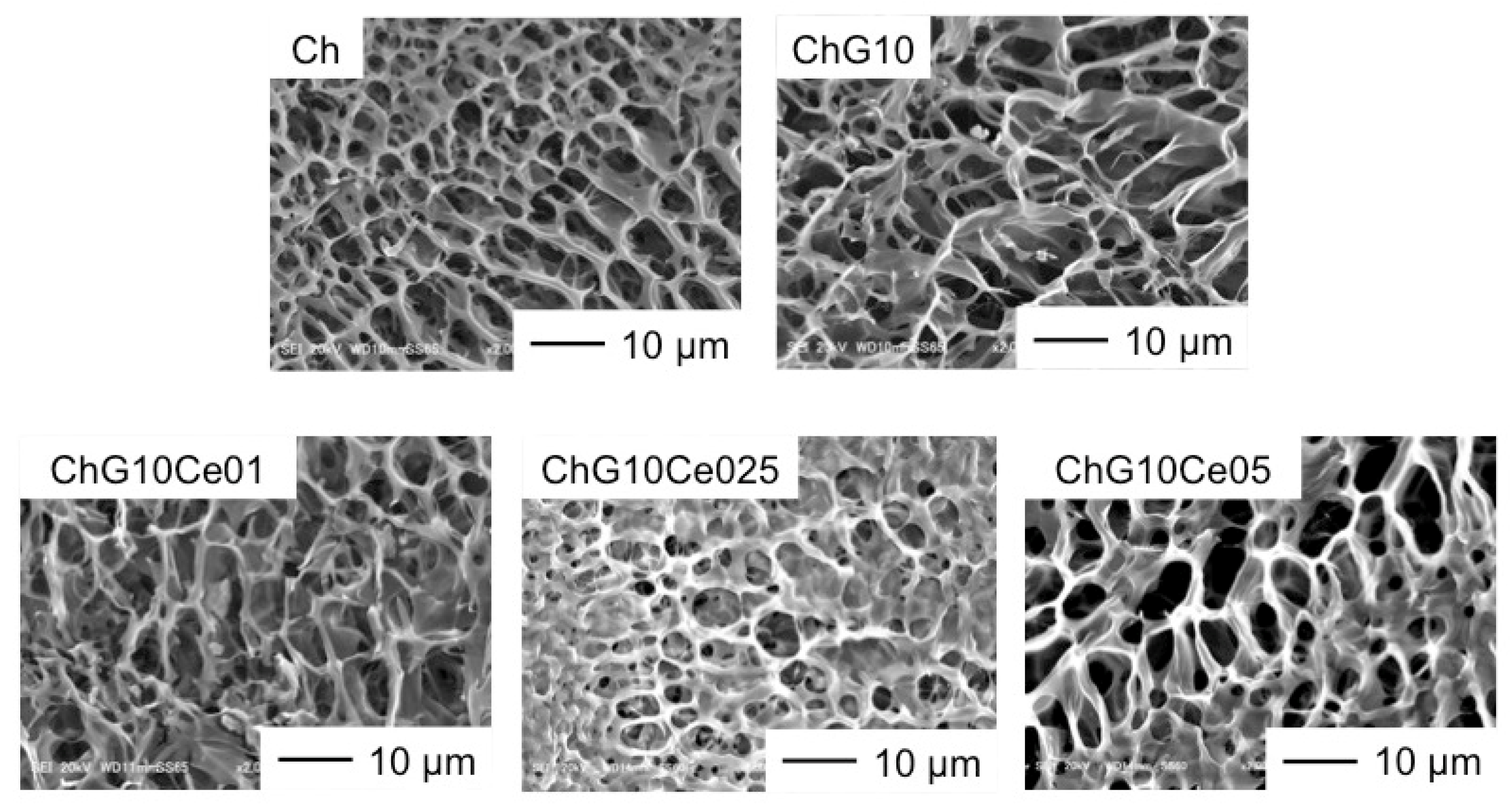 Polymers 11 01676 g008 Polymers 11 01676 g008