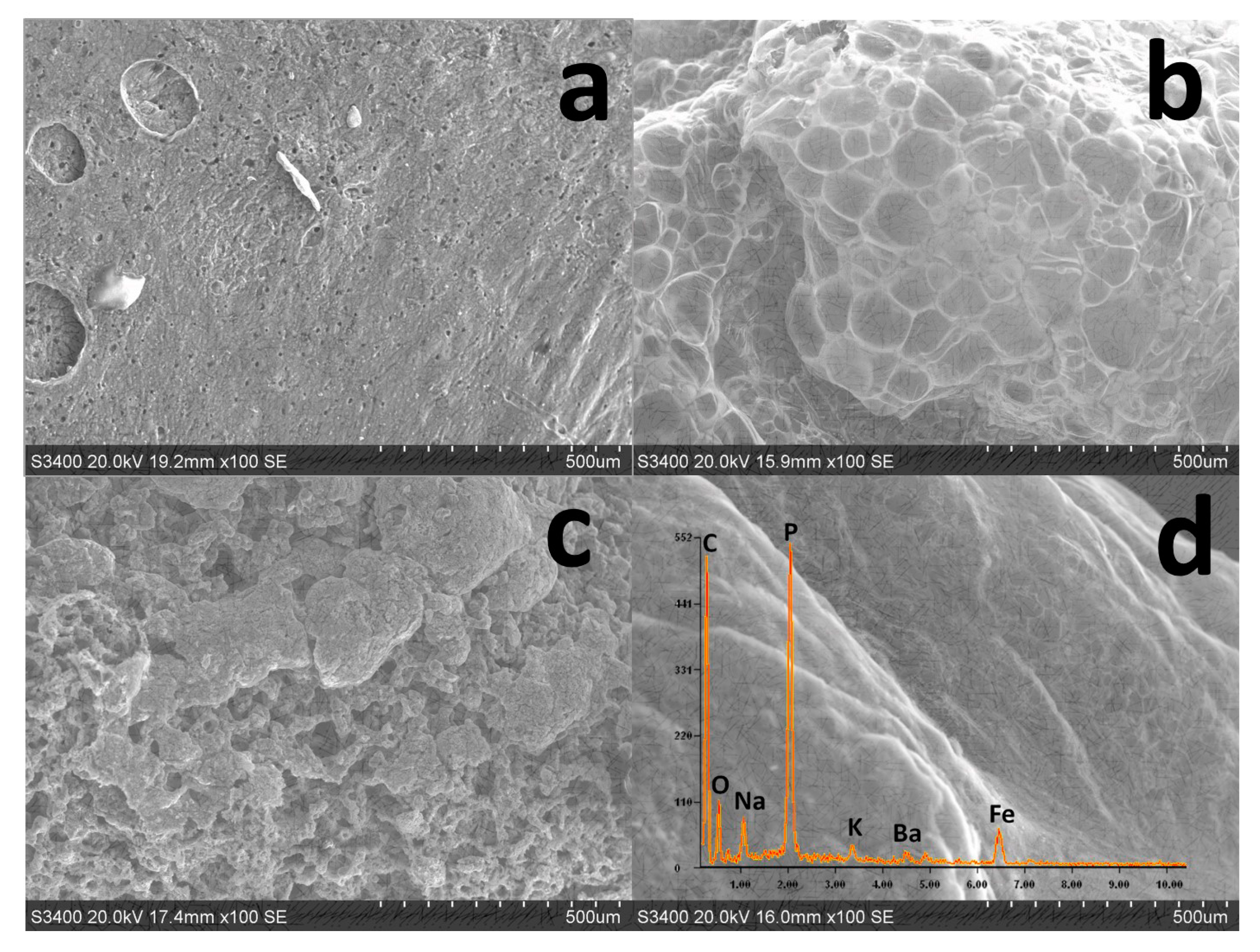 Polymers 11 01677 g009