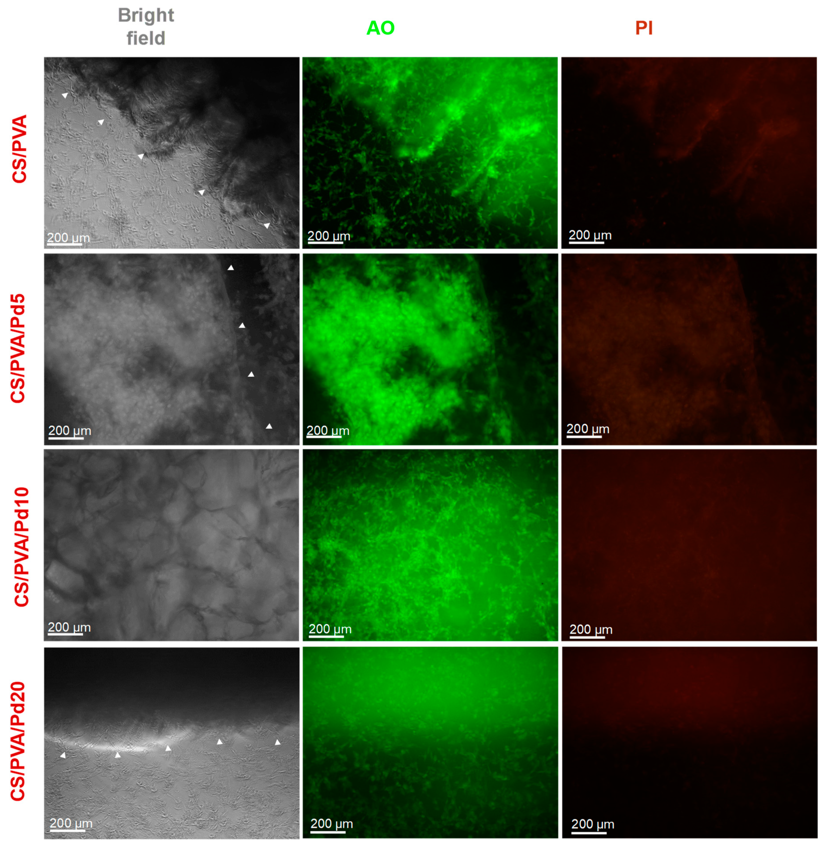 Polymers 11 01679 g009 Polymers 11 01679 g009