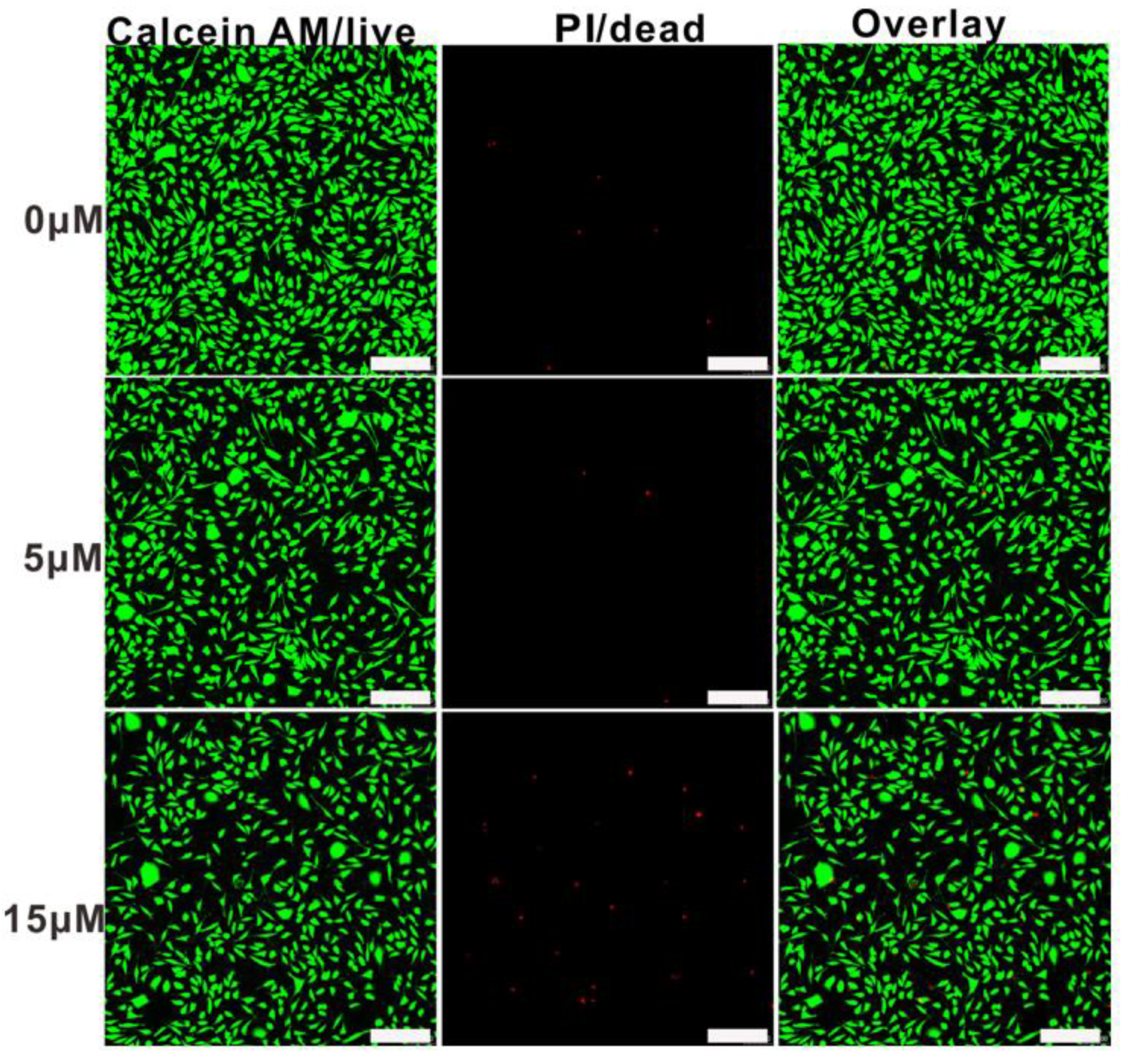 Polymers 11 01684 g011