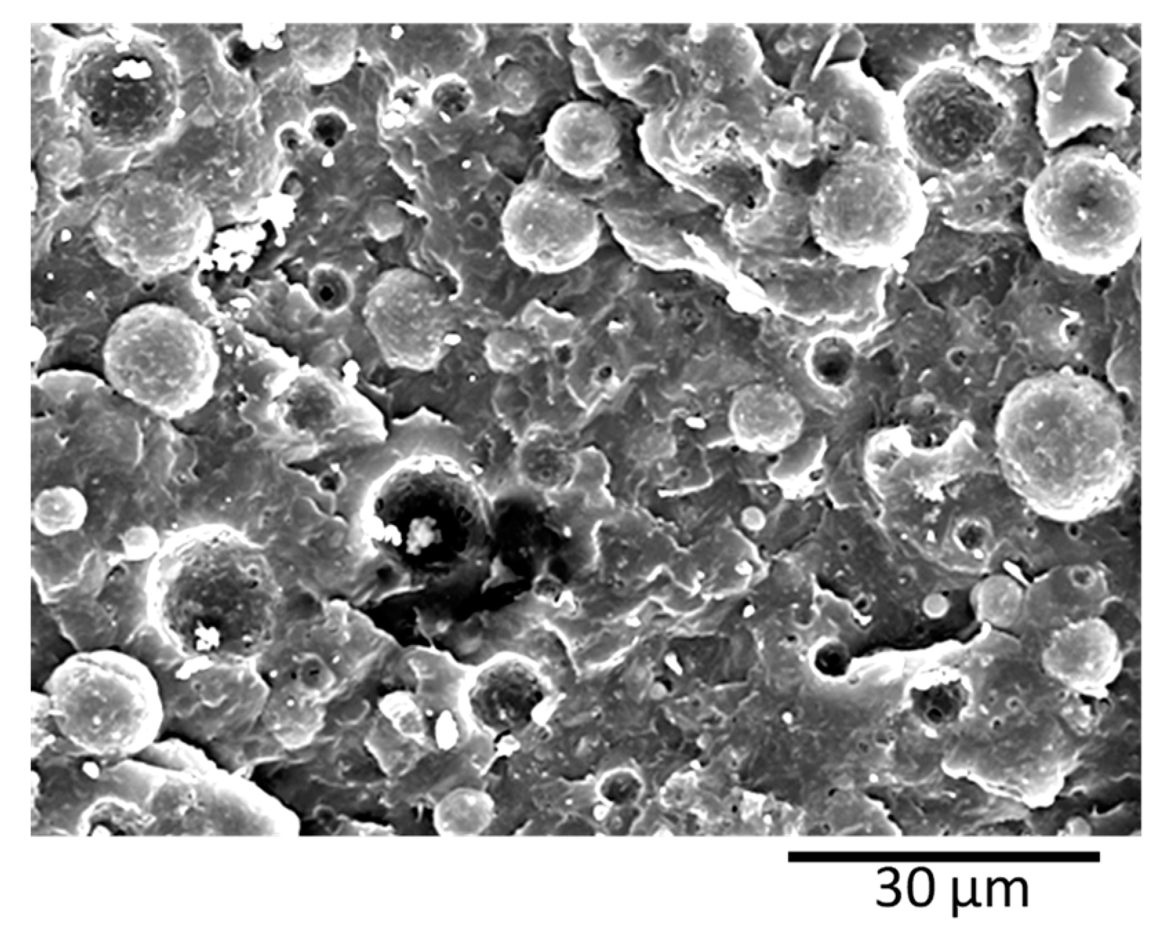 Polymers 11 01692 g003