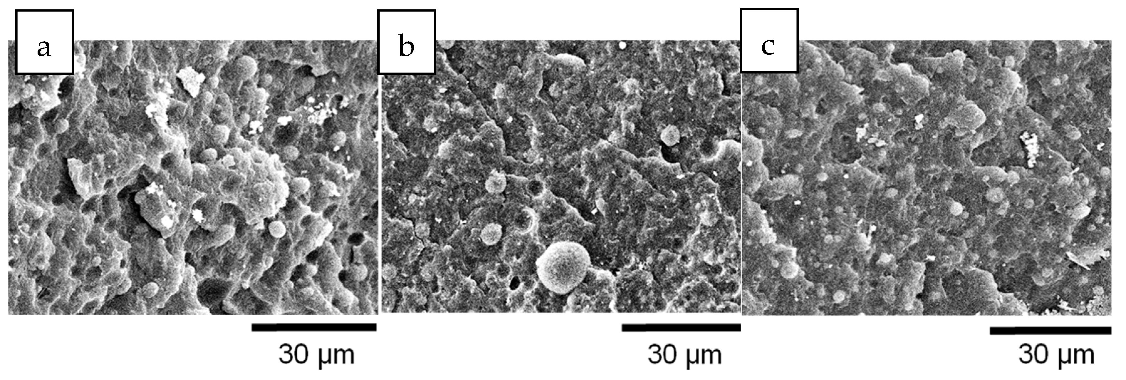 Polymers 11 01692 g004