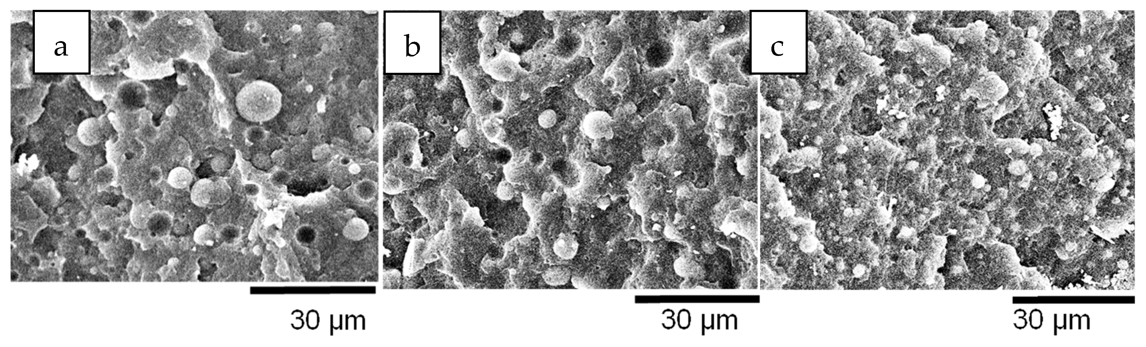 Polymers 11 01692 g005