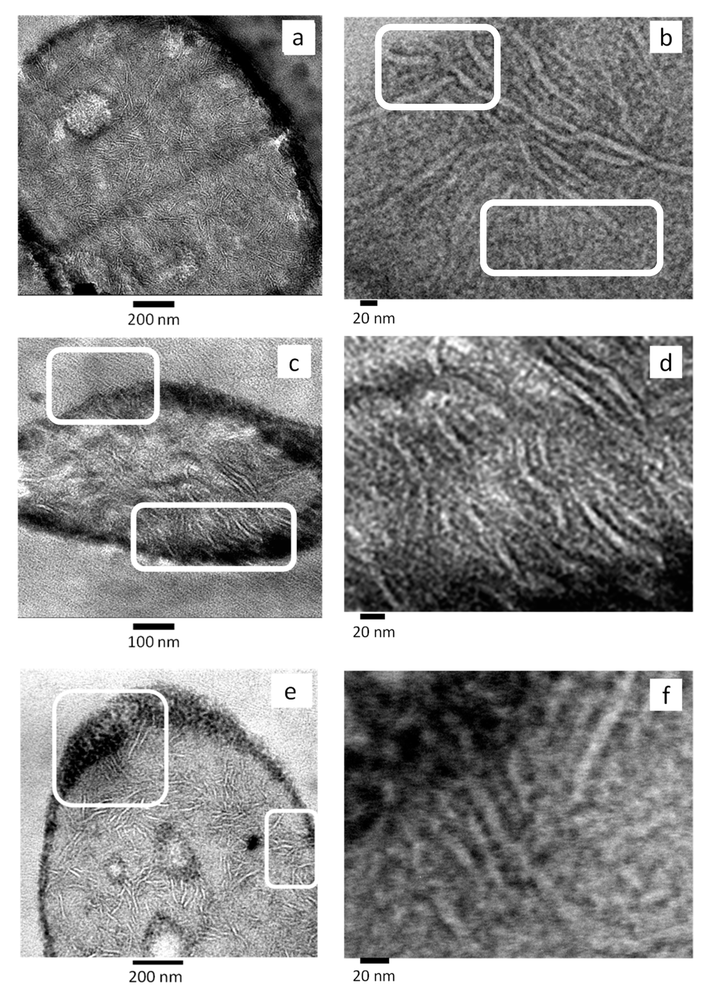 Polymers 11 01692 g011