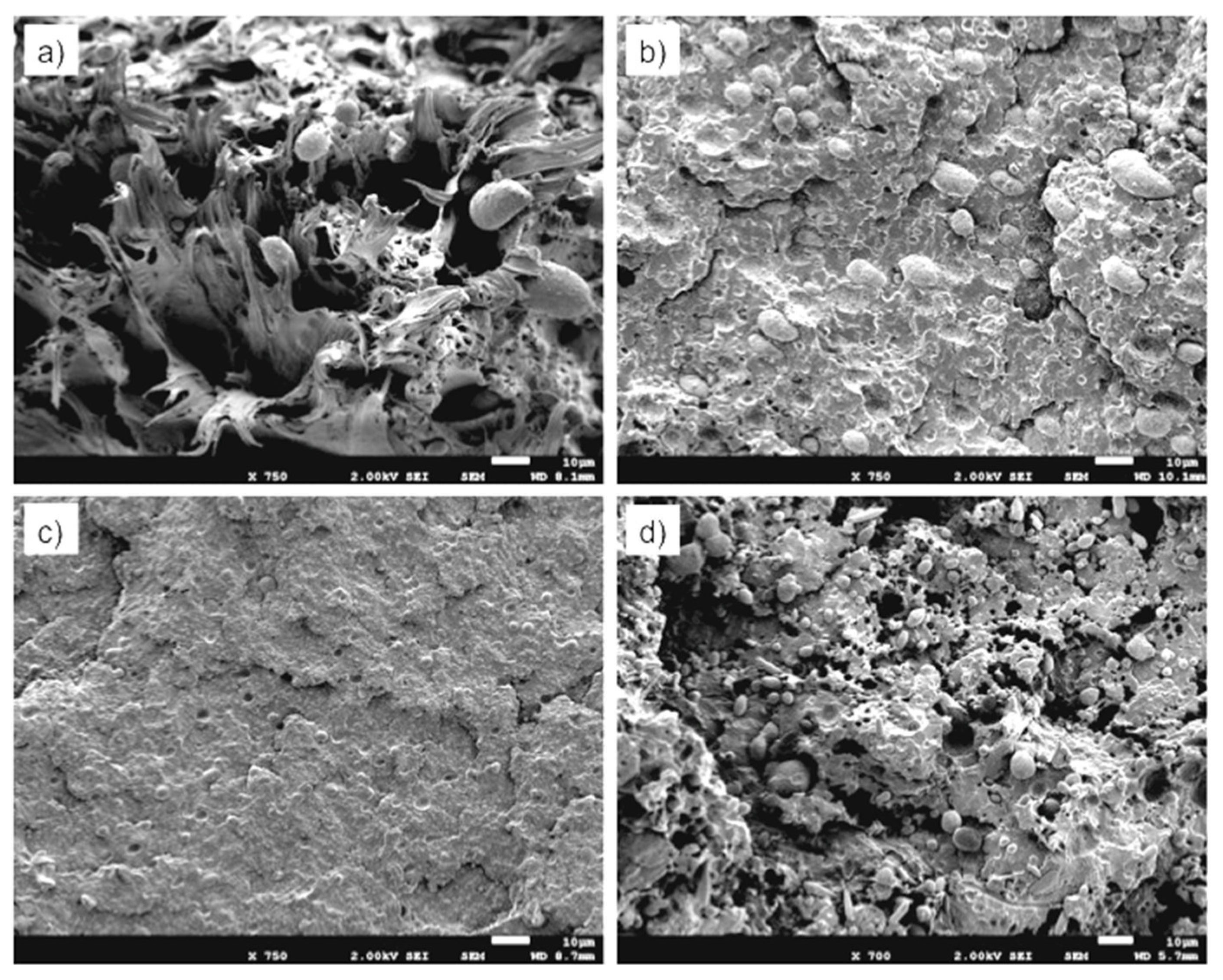 Polymers 11 01692 g015