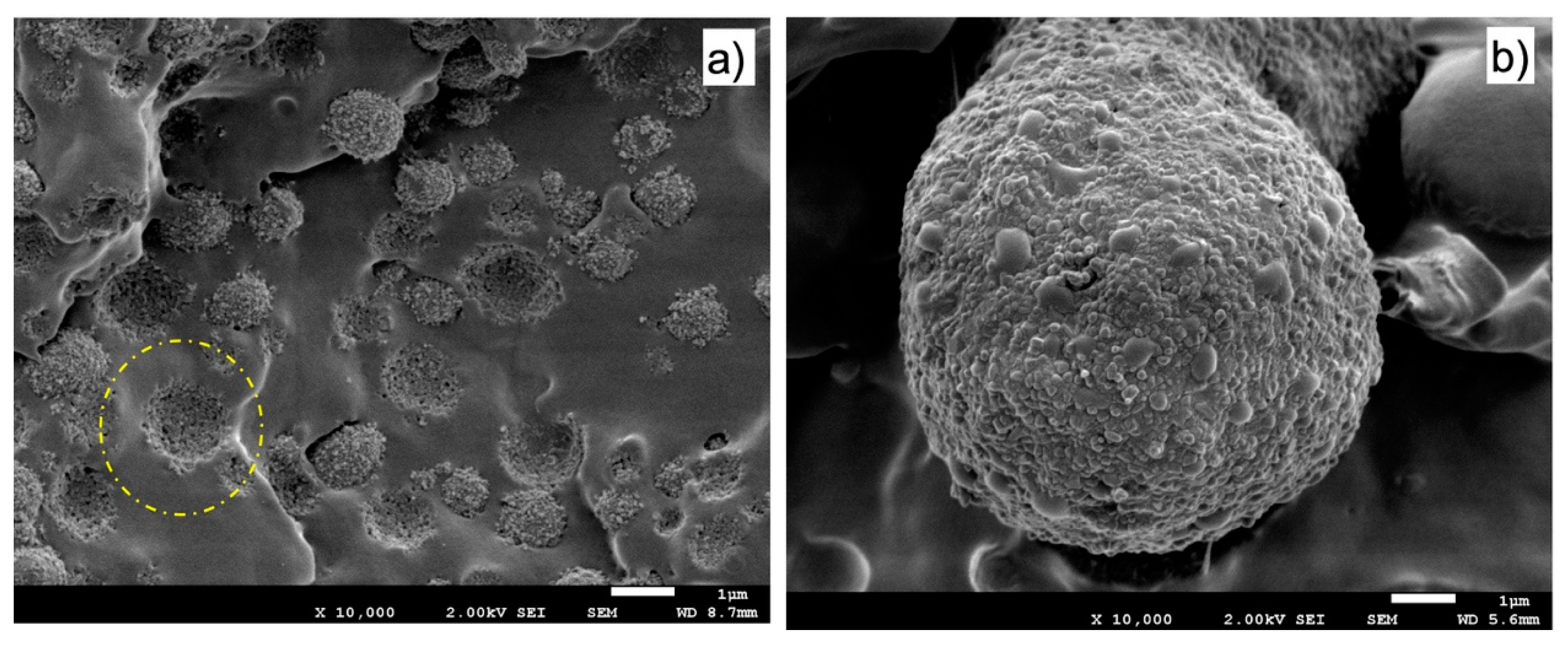 Polymers 11 01692 g017
