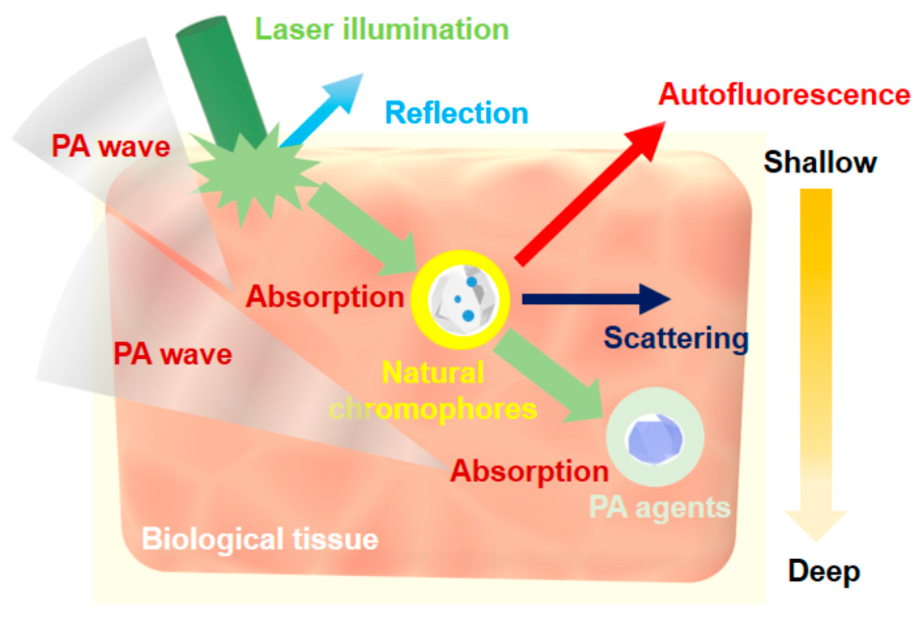 Polymers 11 01693 g002 Polymers 11 01693 g002