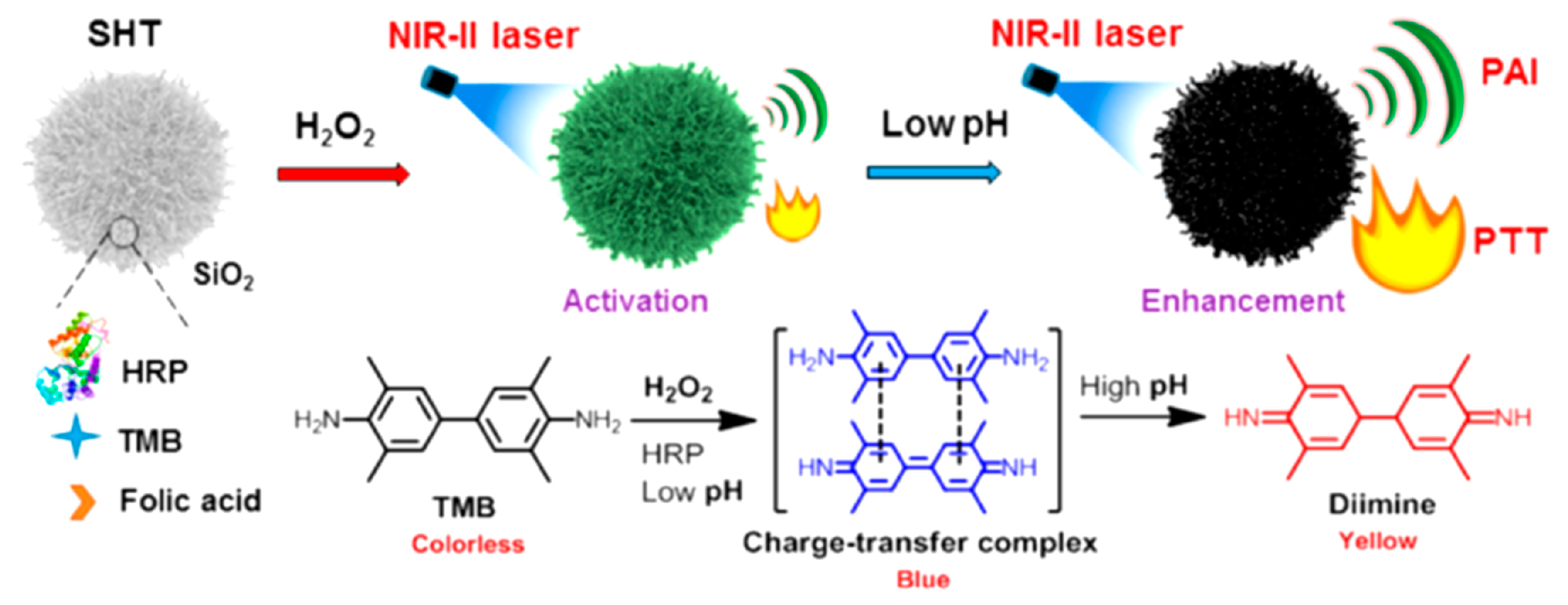 Polymers 11 01693 g020 Polymers 11 01693 g020