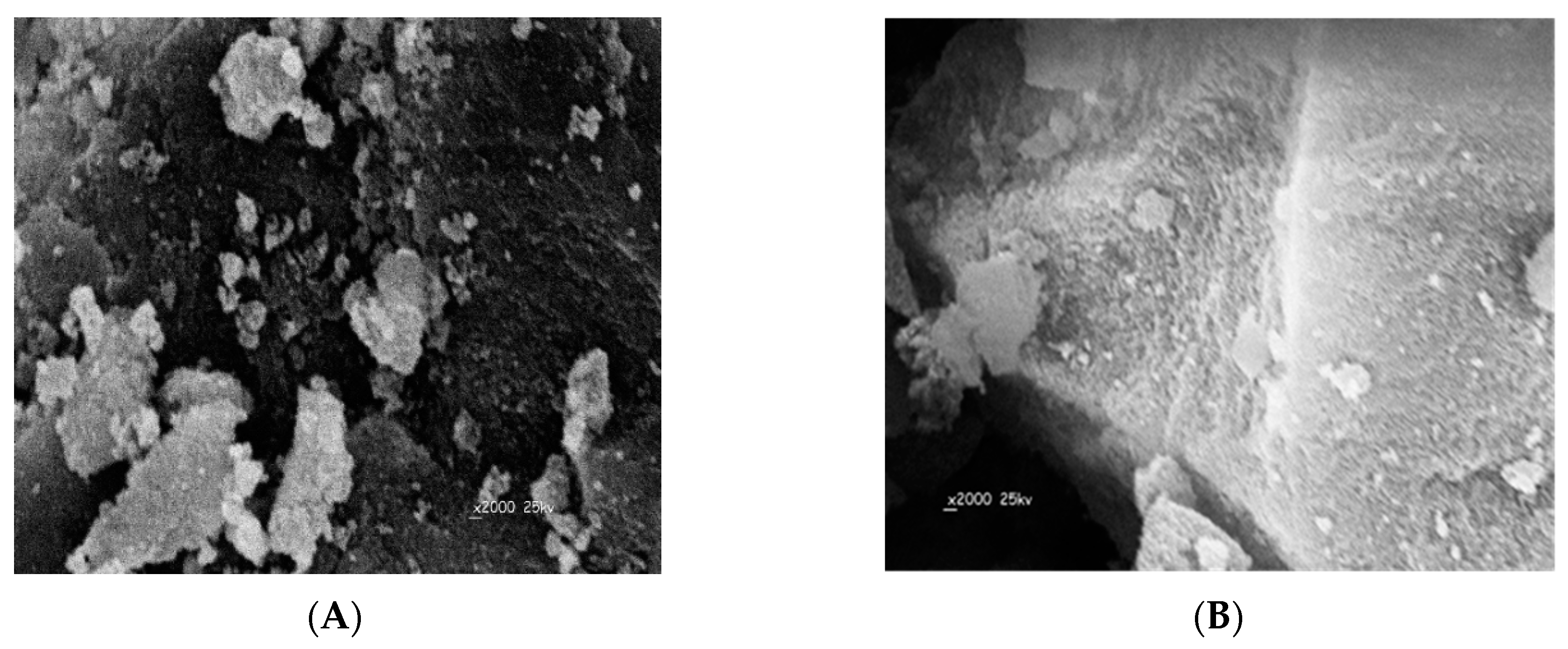 Polymers 11 01695 g003