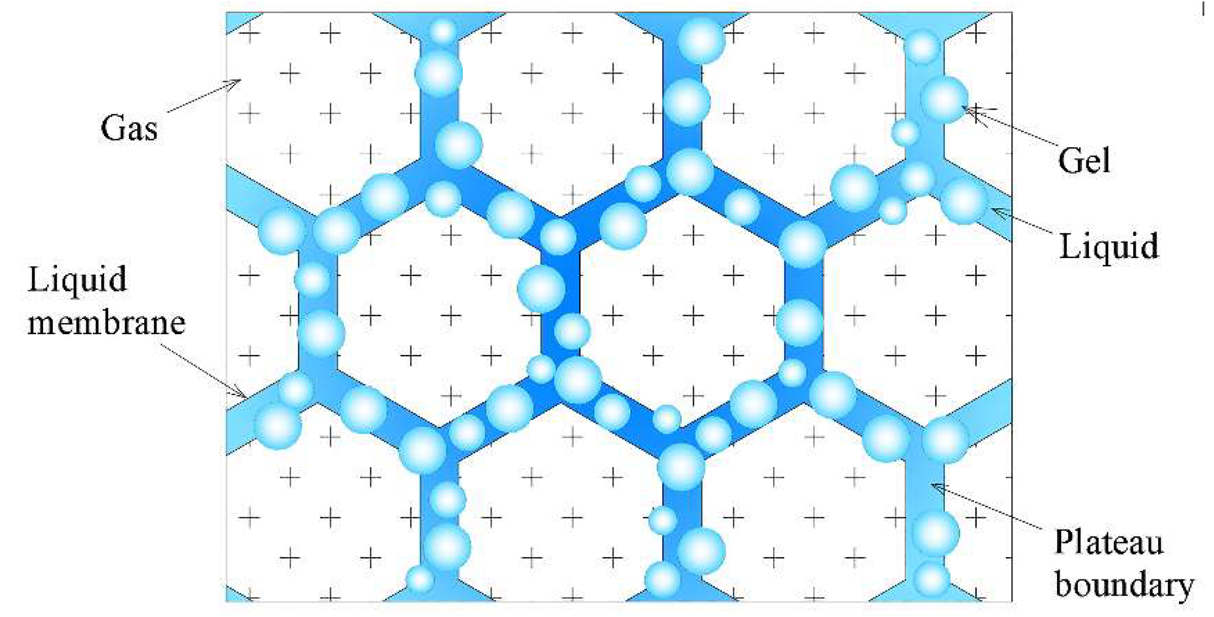 Polymers 11 01706 g012