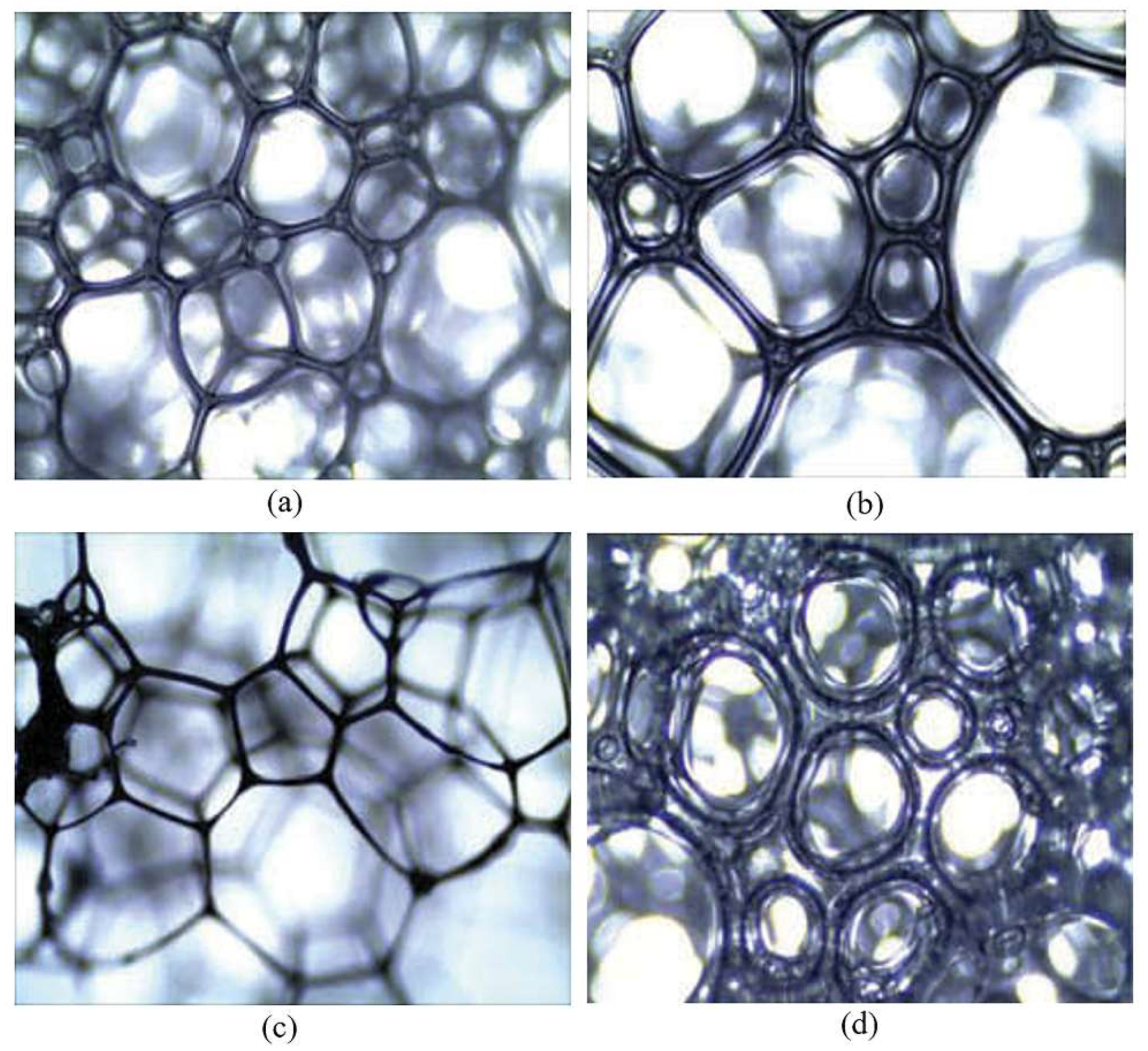 Polymers 11 01706 g016