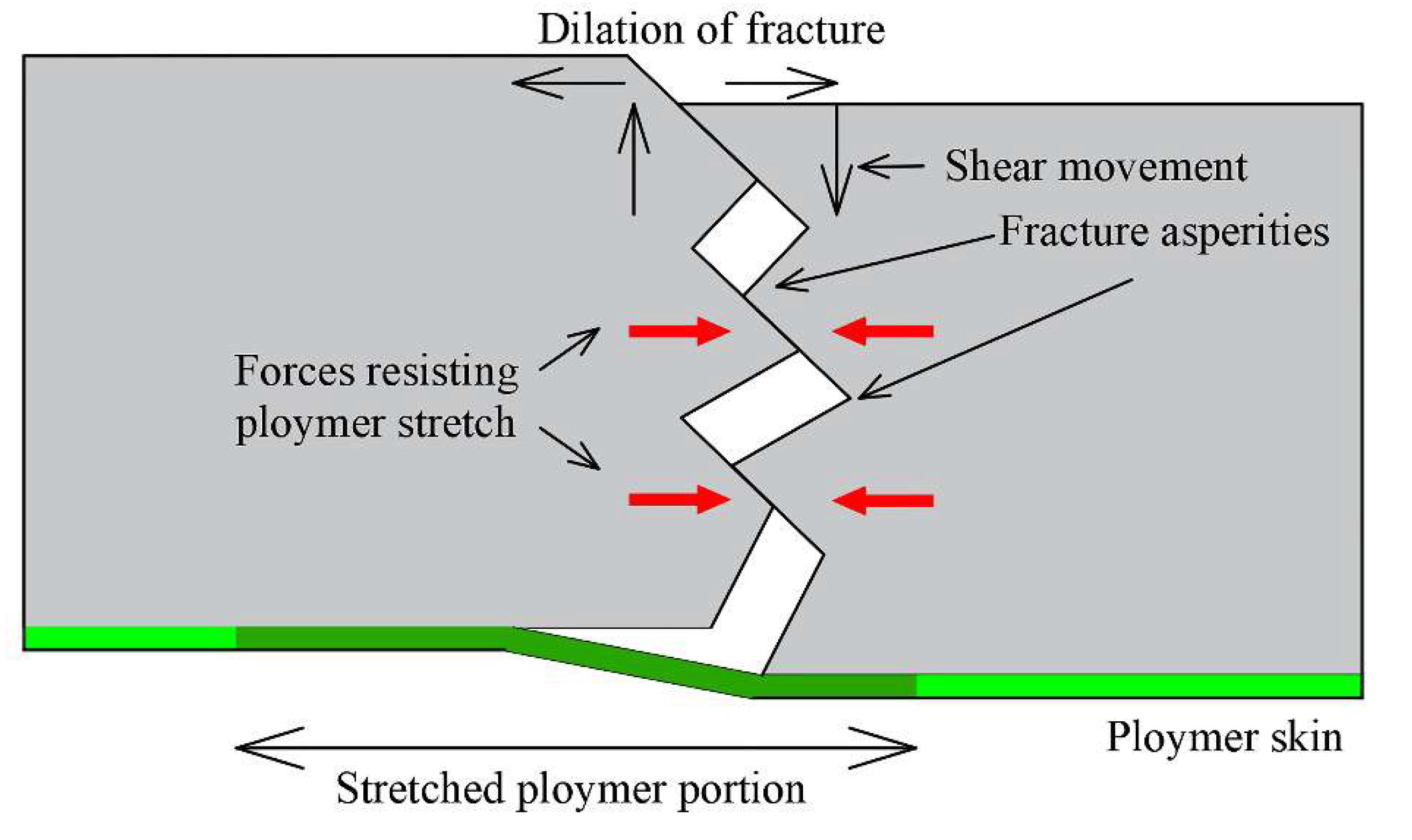 Polymers 11 01706 g021