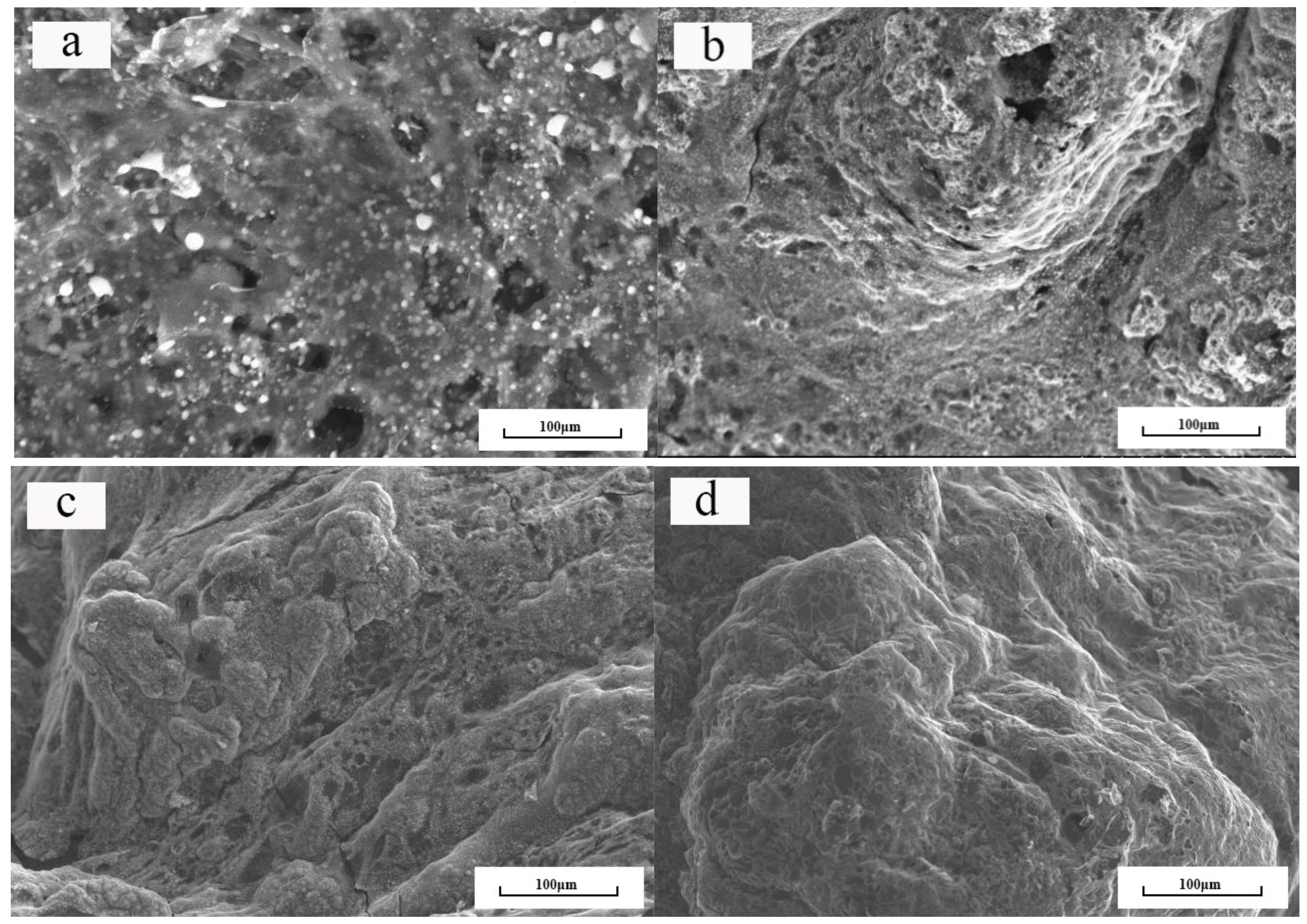 Polymers 11 01708 g007 550