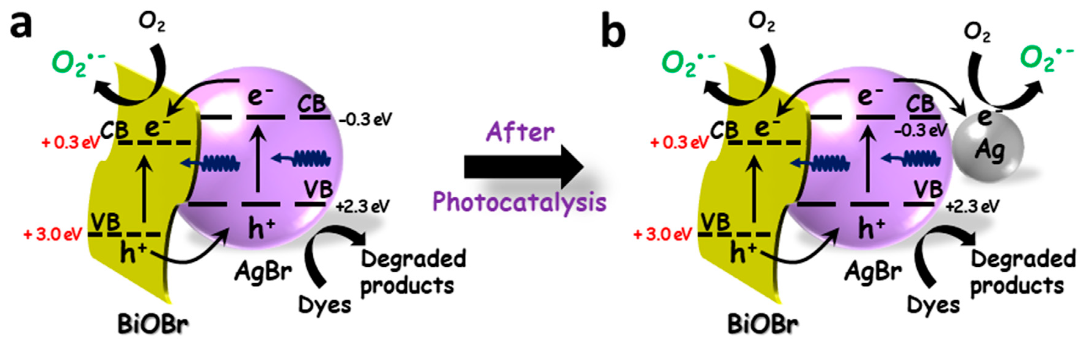 Polymers 11 01718 sch002 550