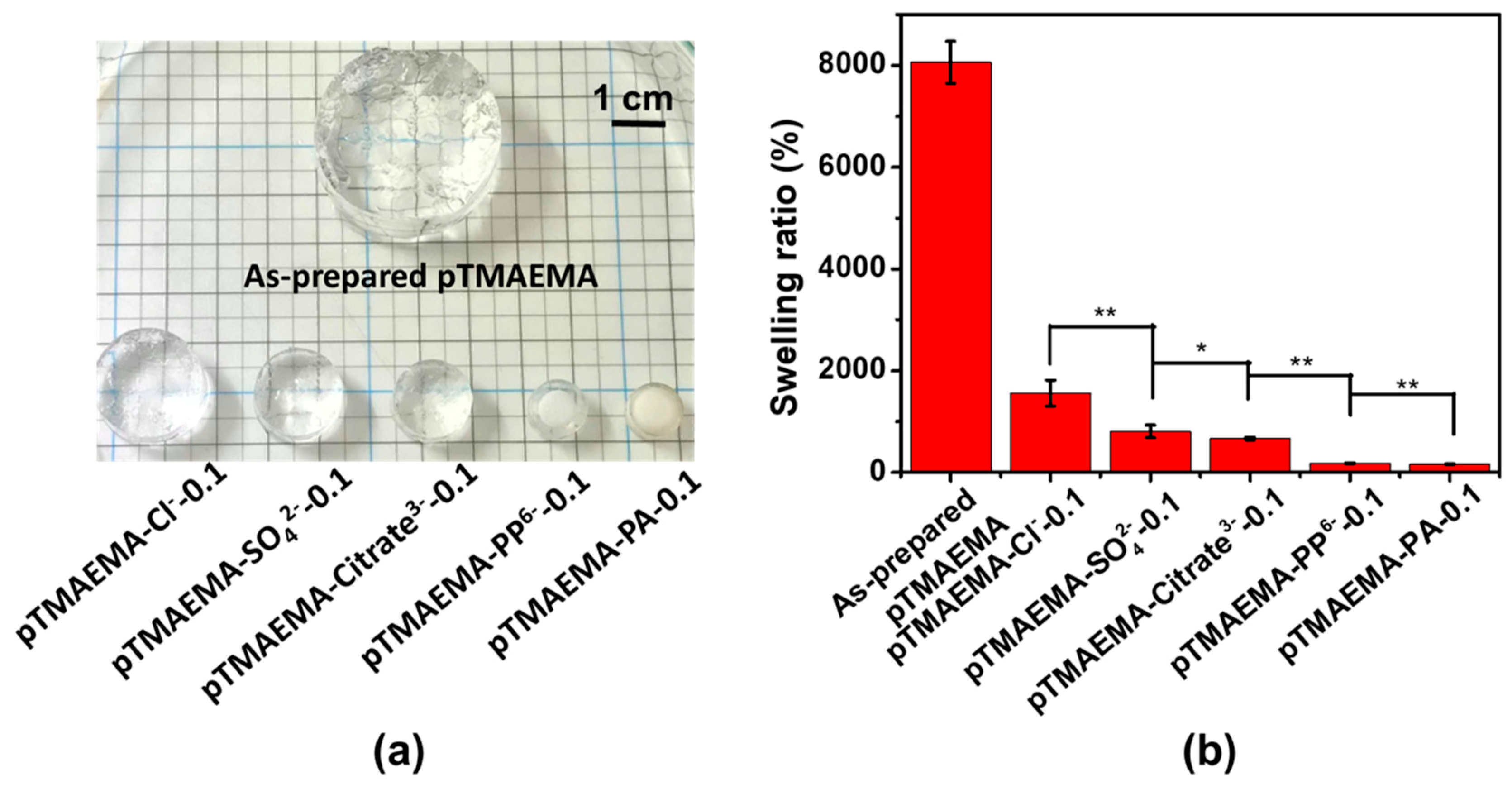 Polymers 11 01721 g005