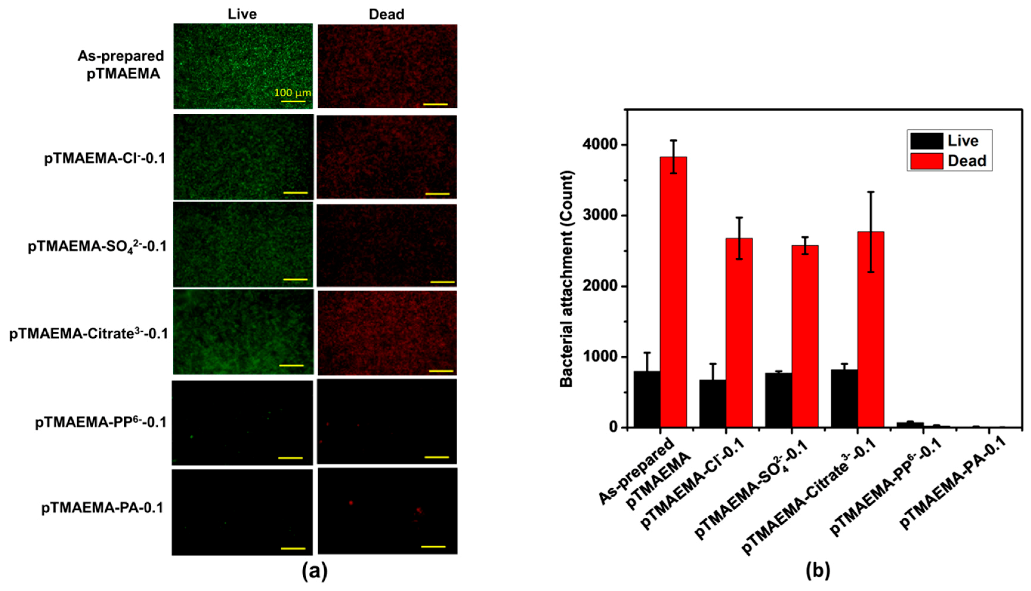Polymers 11 01721 g008