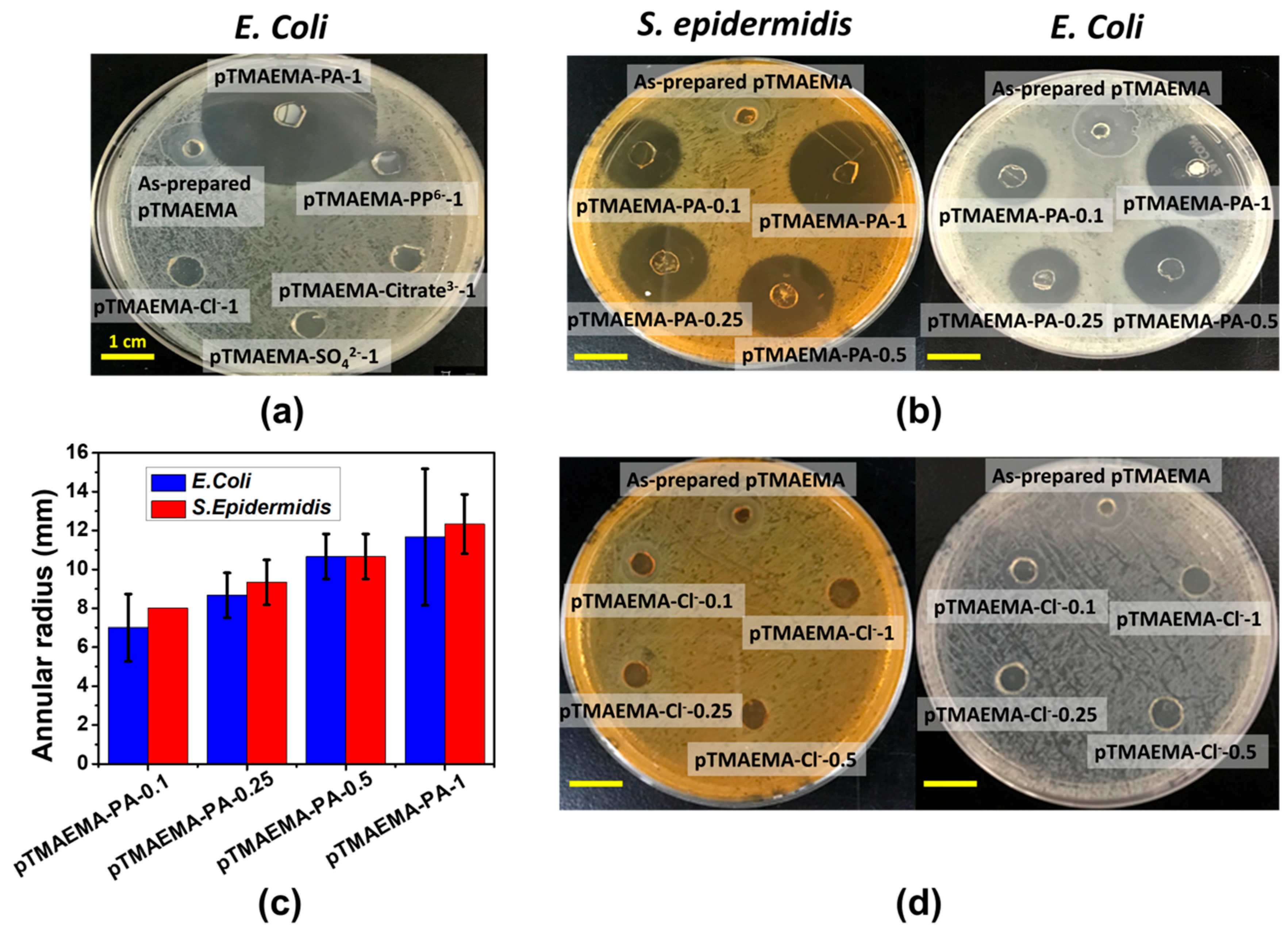 Polymers 11 01721 g009
