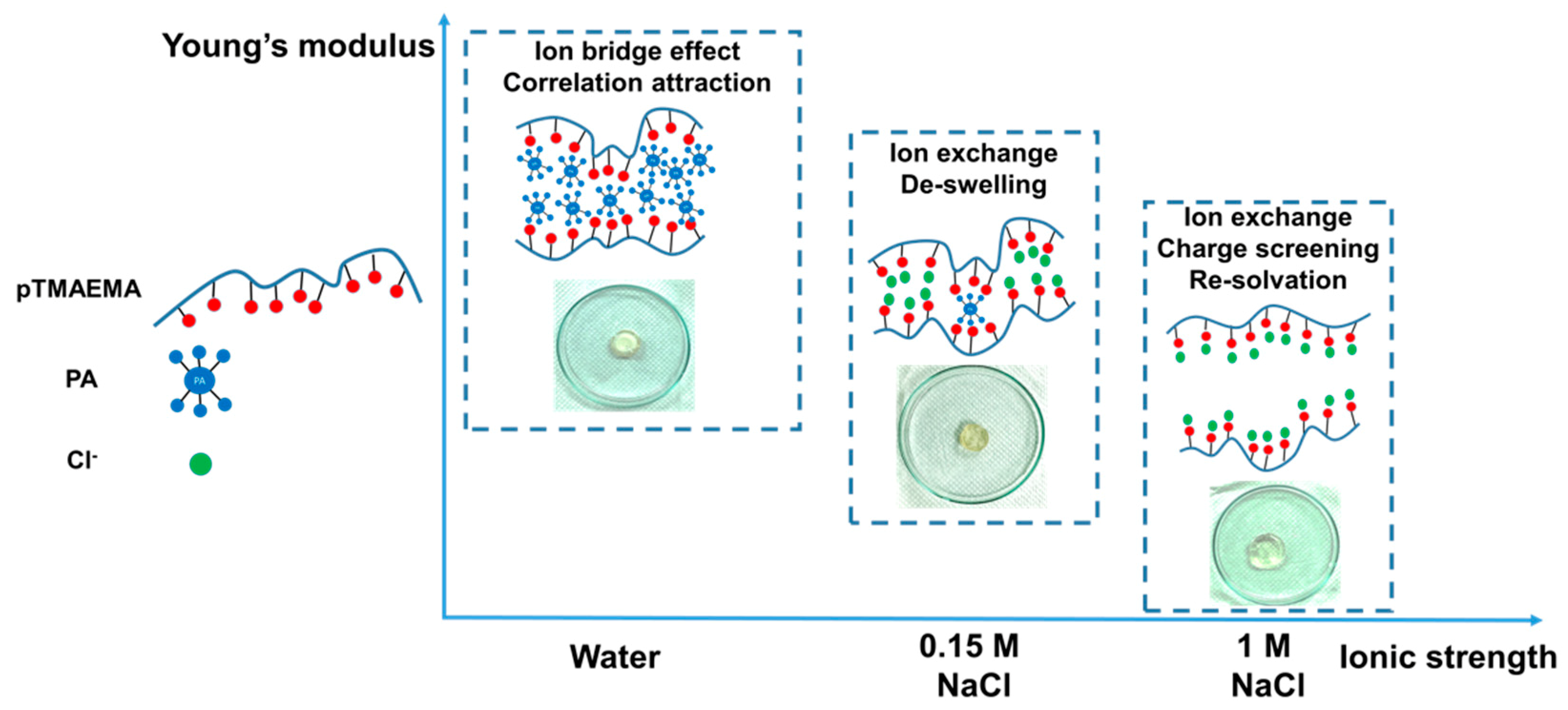 Polymers 11 01721 sch002