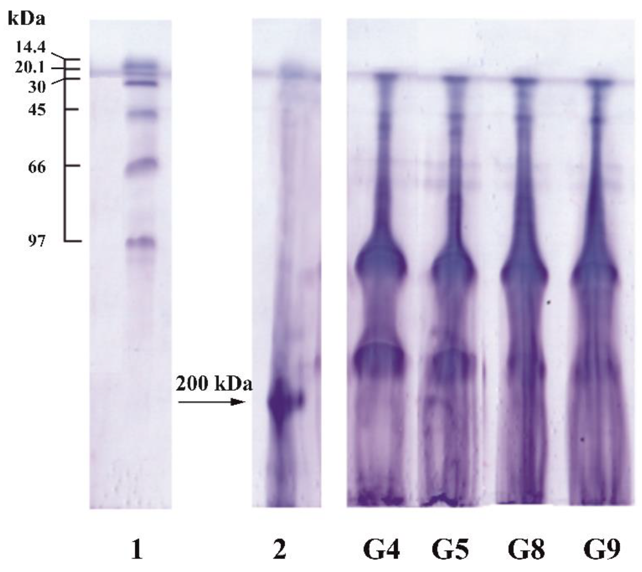 Polymers 11 01724 g003