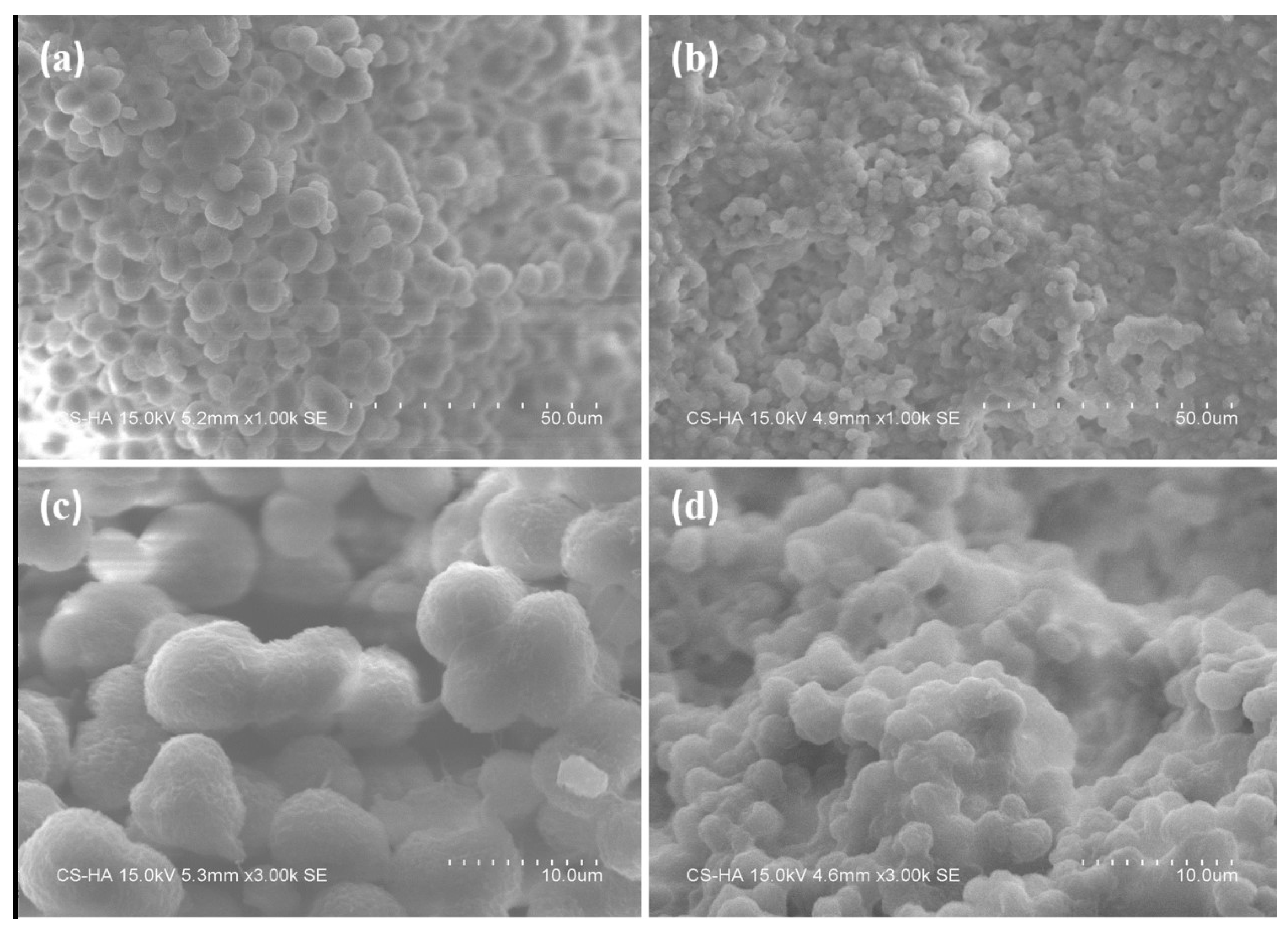 Polymers 11 01726 g002 Polymers 11 01726 g002