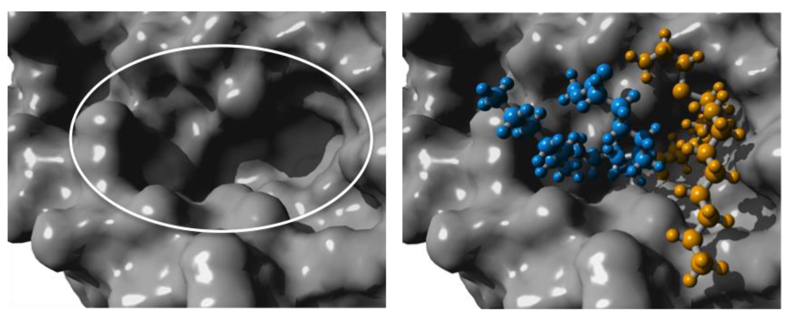 Polymers 11 01730 g003