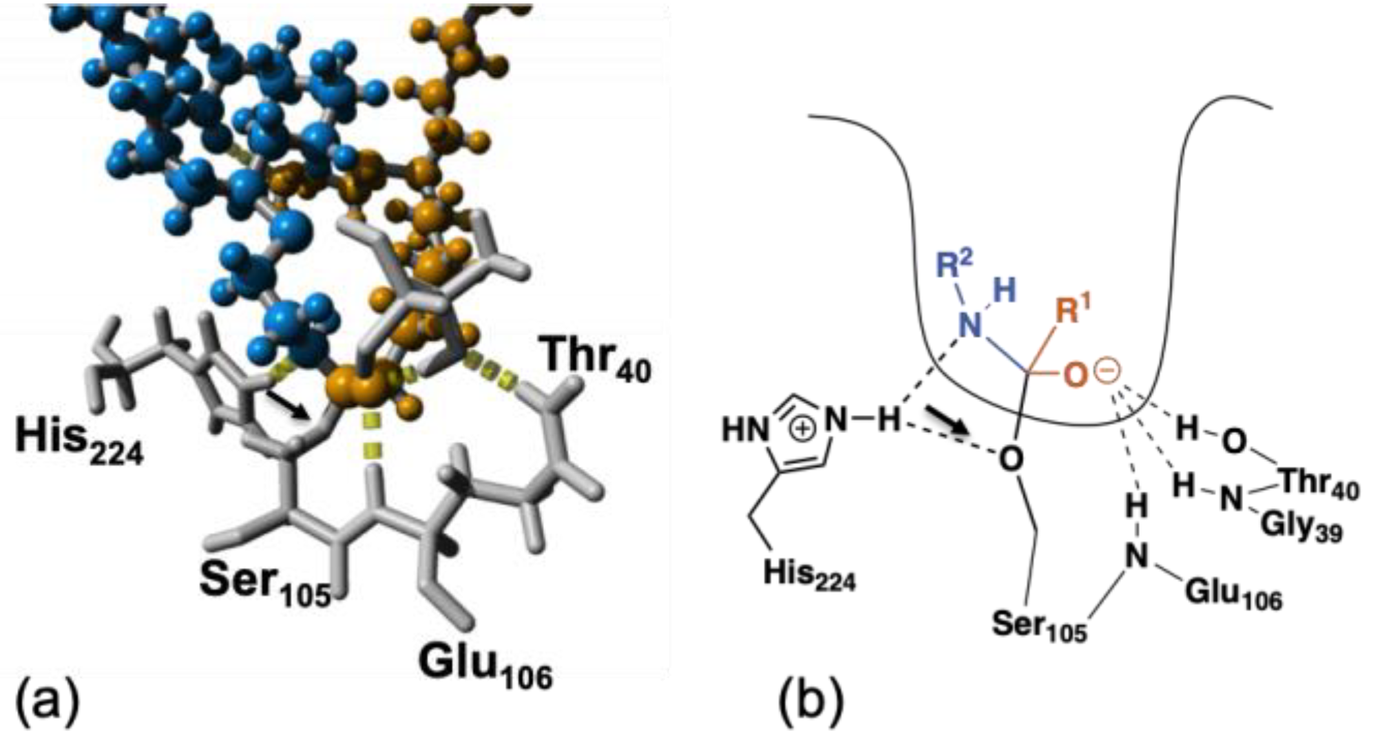 Polymers 11 01730 g004