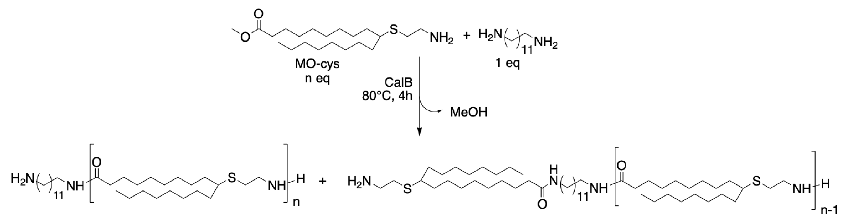 Polymers 11 01730 sch002