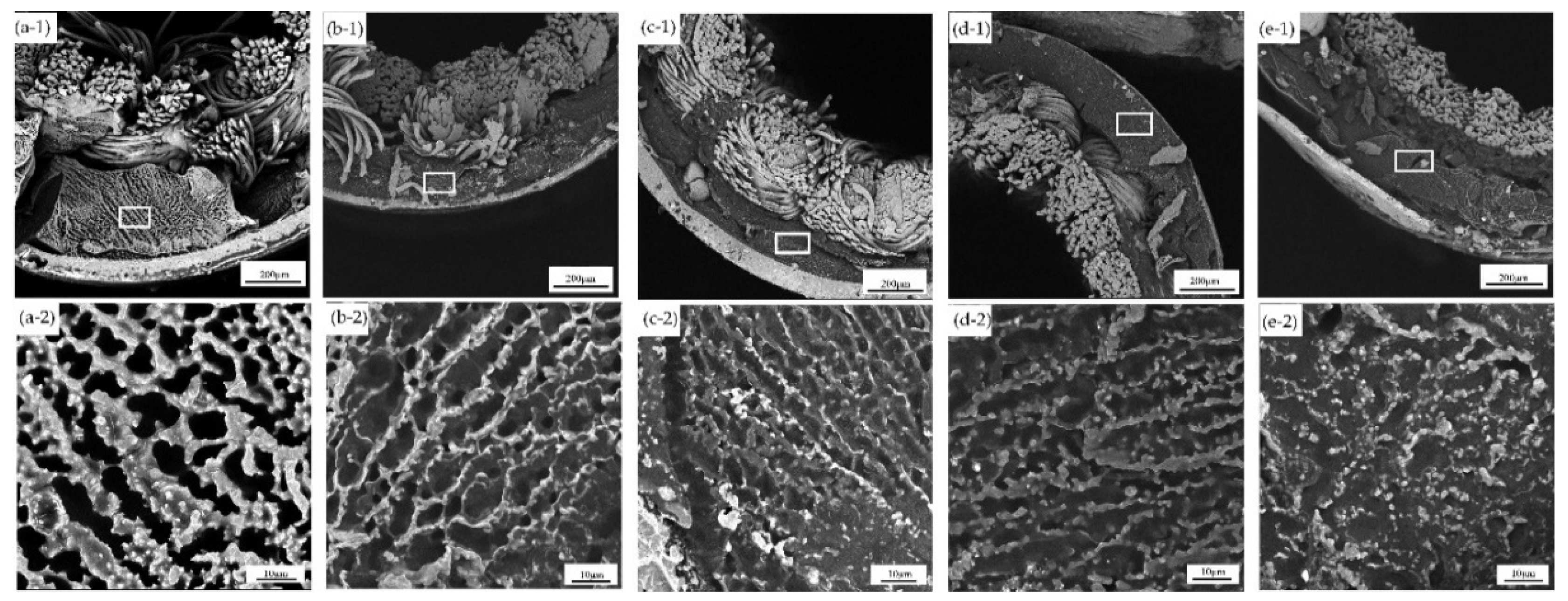 Polymers 11 01737 g004