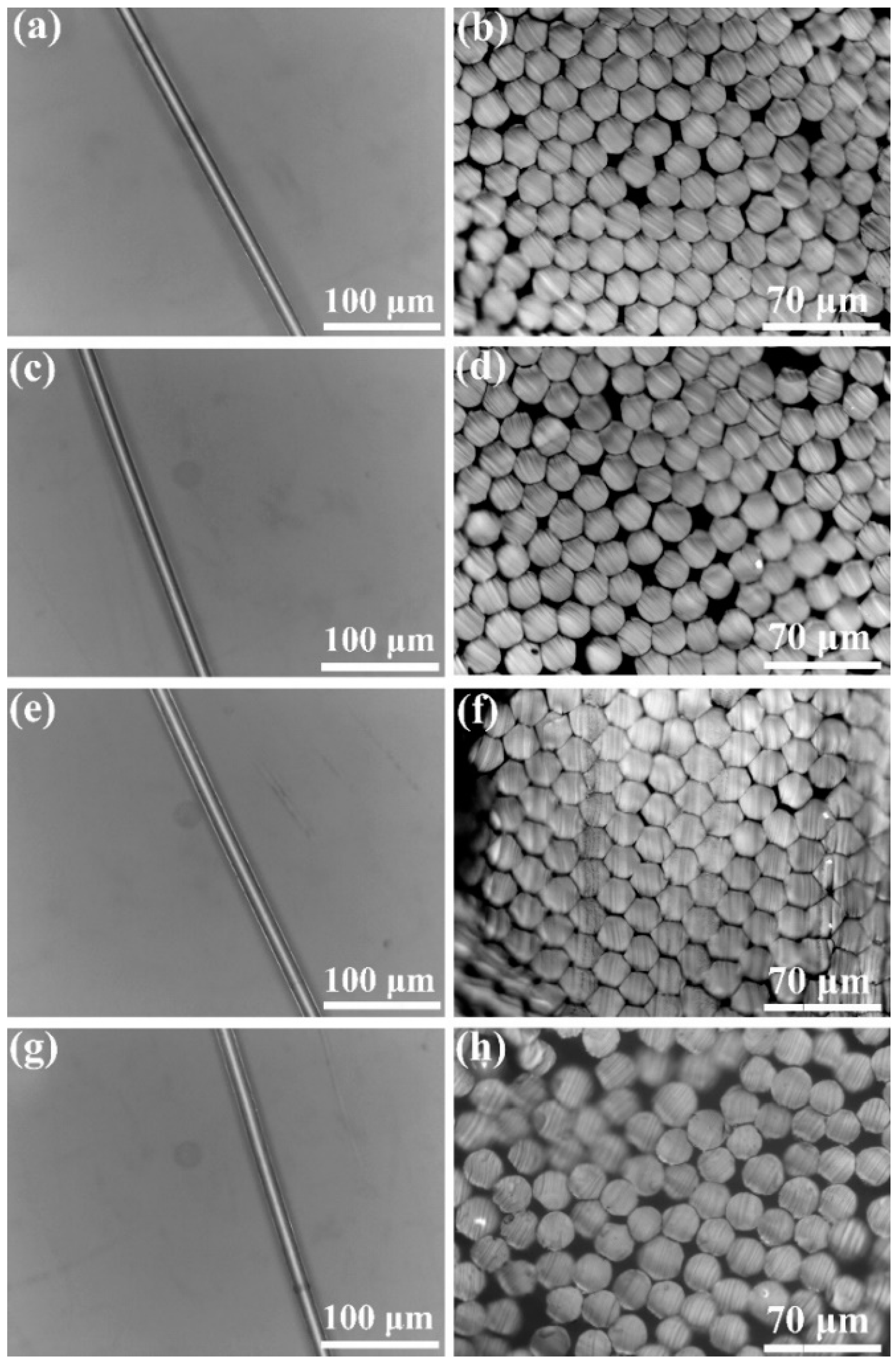 Polymers 11 01753 g005
