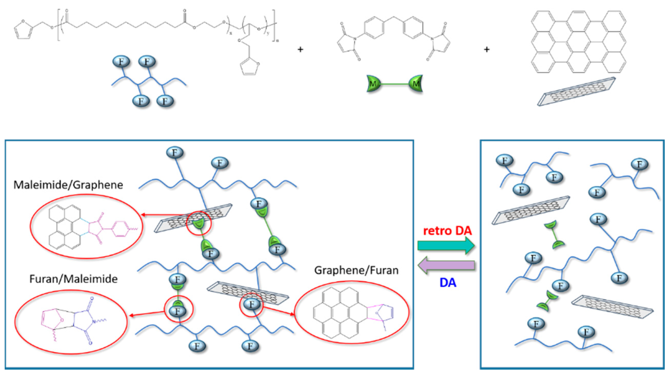 Polymers 11 01755 g012