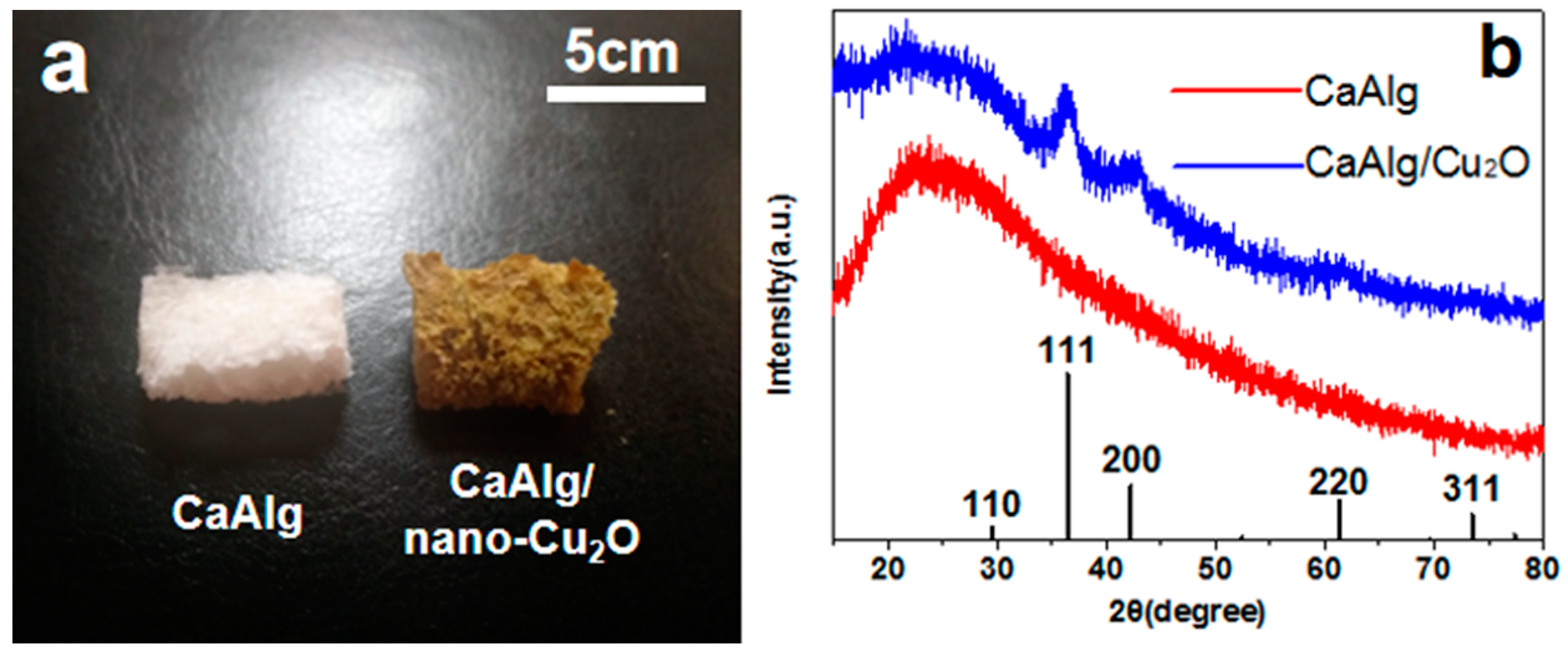Polymers 11 01760 g002 Polymers 11 01760 g002