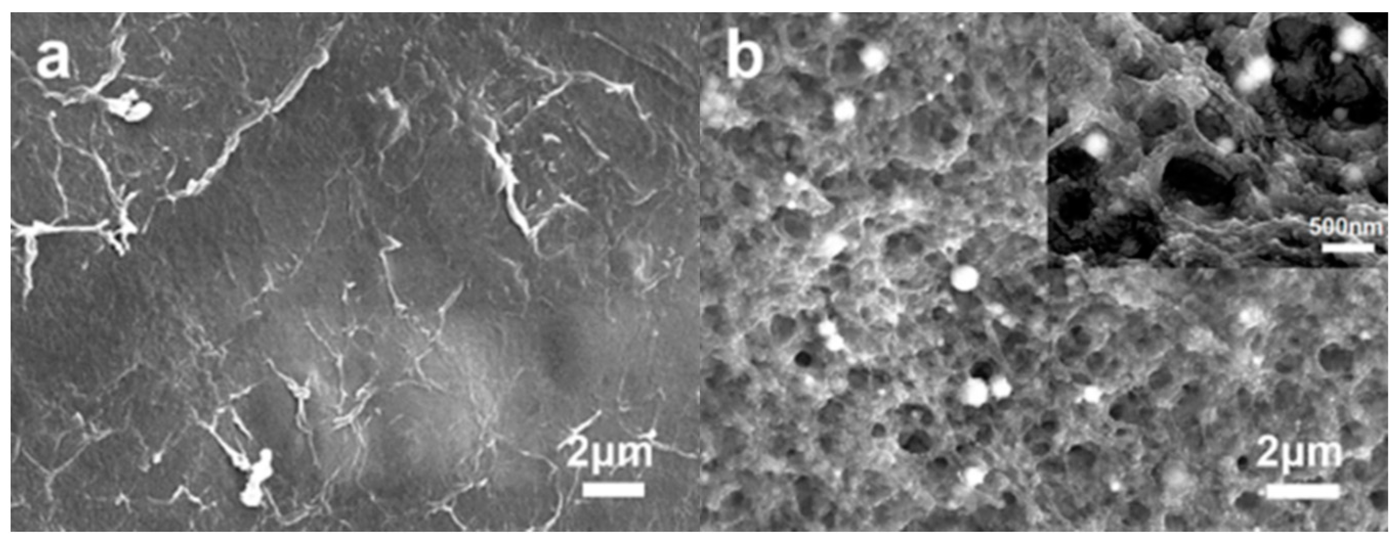 Polymers 11 01760 g003 Polymers 11 01760 g003