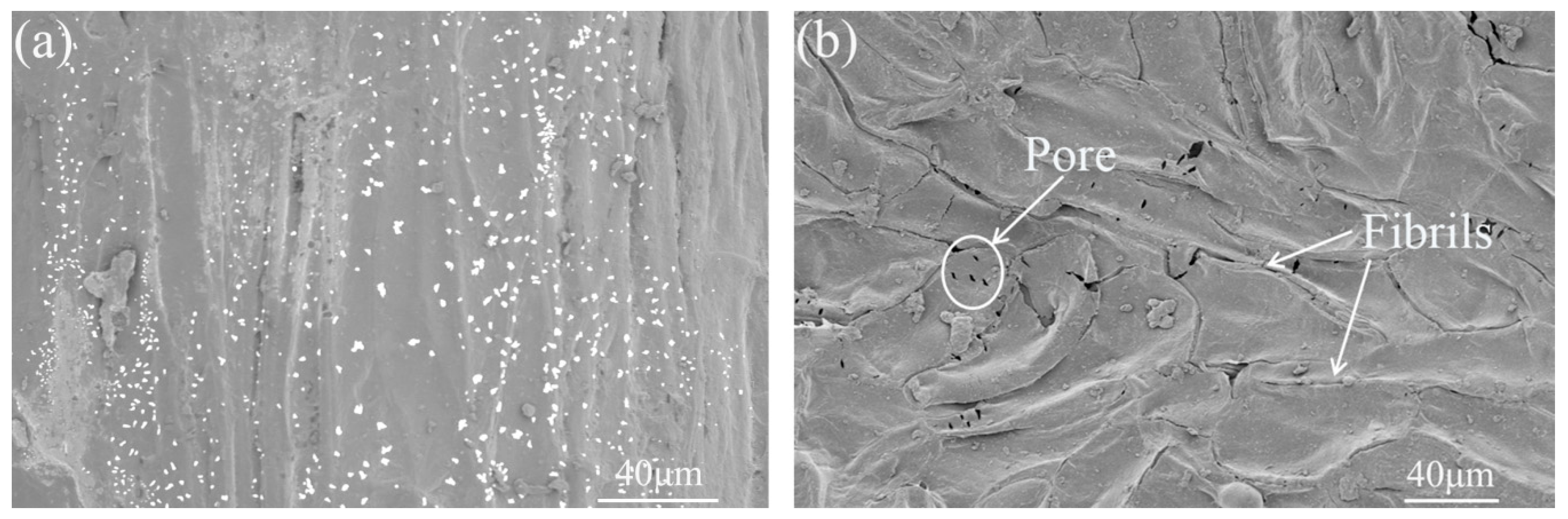 Polymers 11 01765 g003