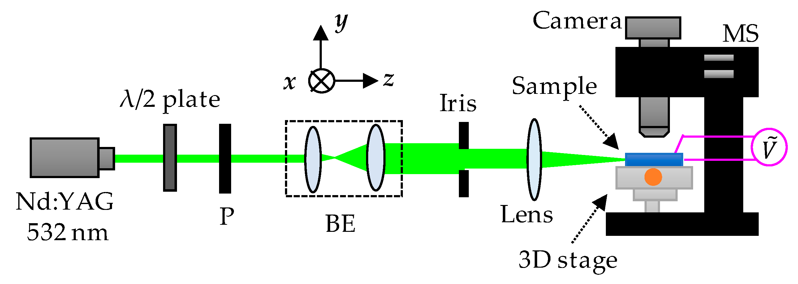 Polymers 11 01767 g001