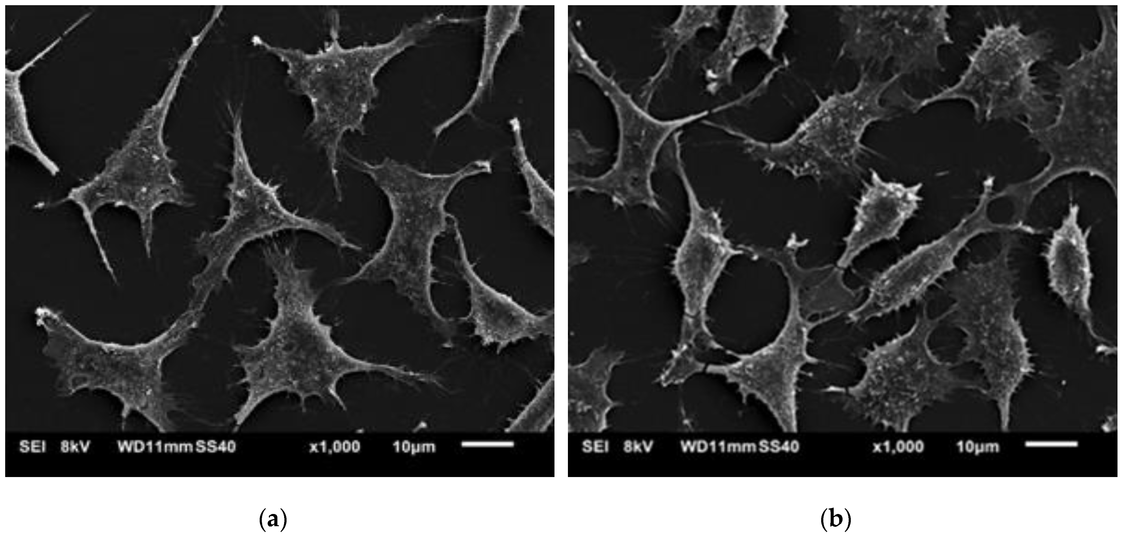 Polymers 11 01772 g011
