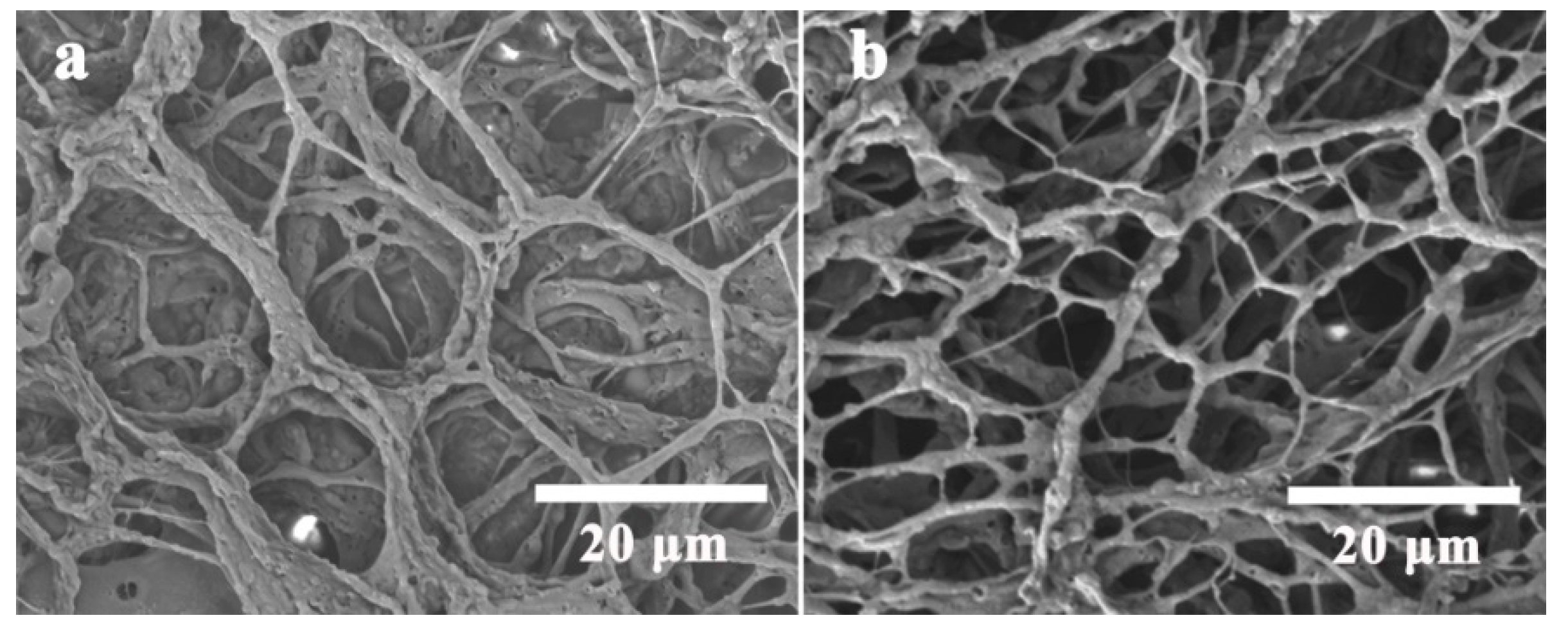 Polymers 11 01781 g003