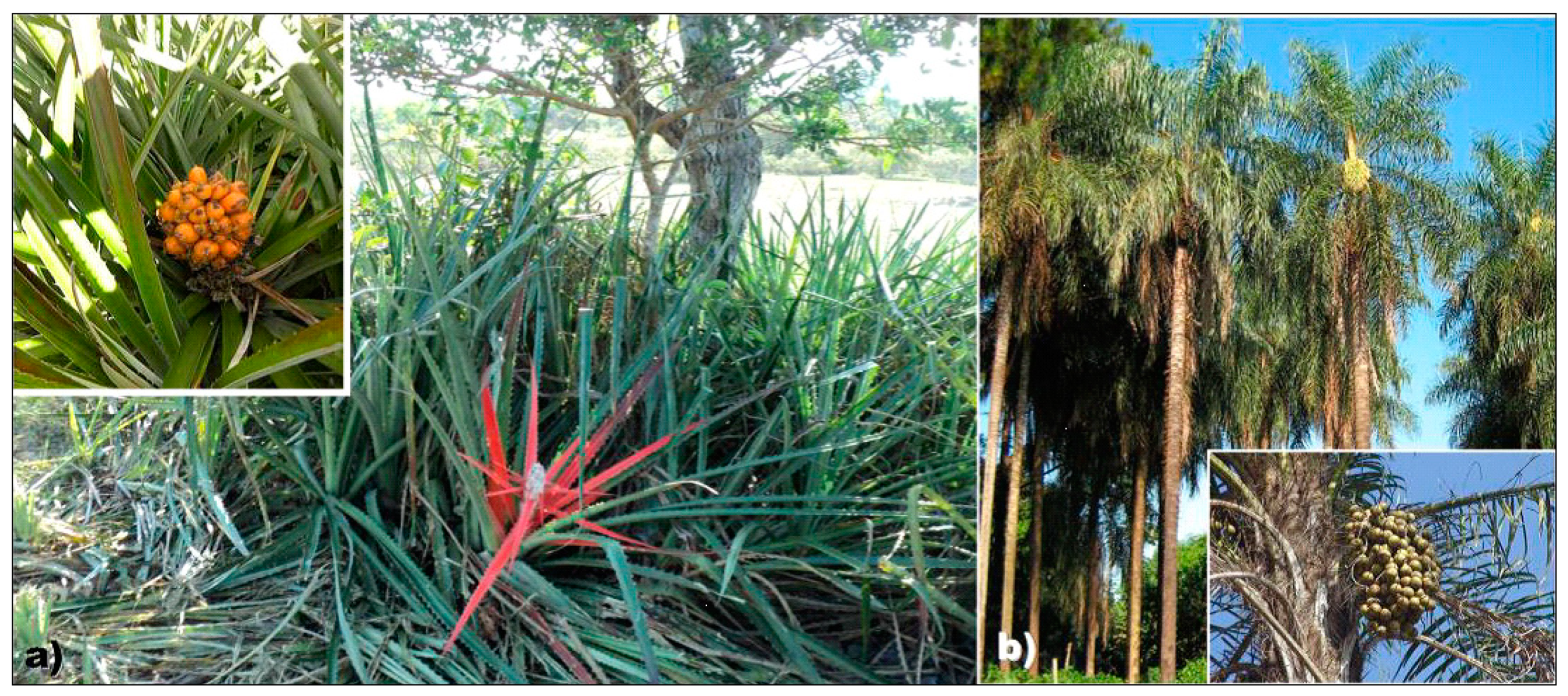 Polymers 11 01785 g001