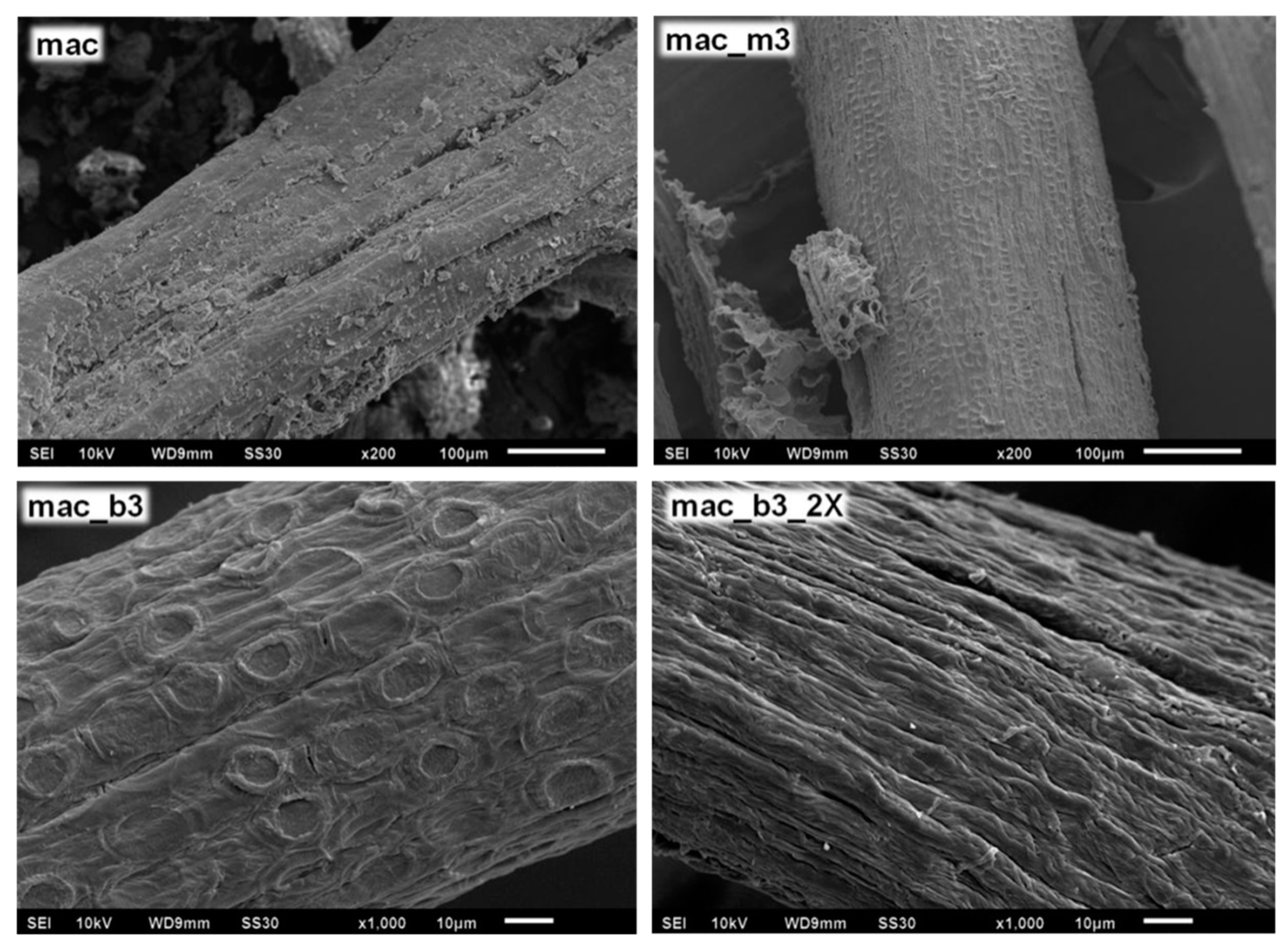 Polymers 11 01785 g006b