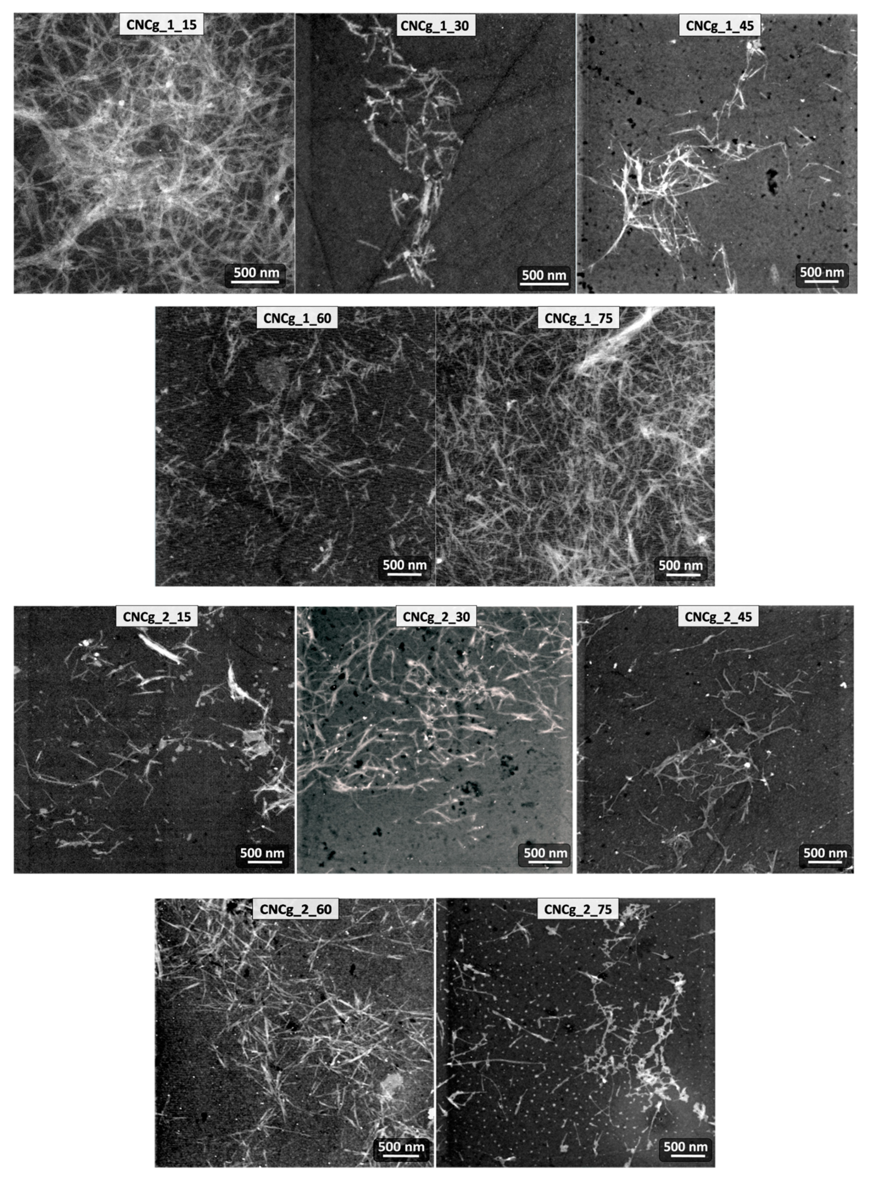 Polymers 11 01785 g008