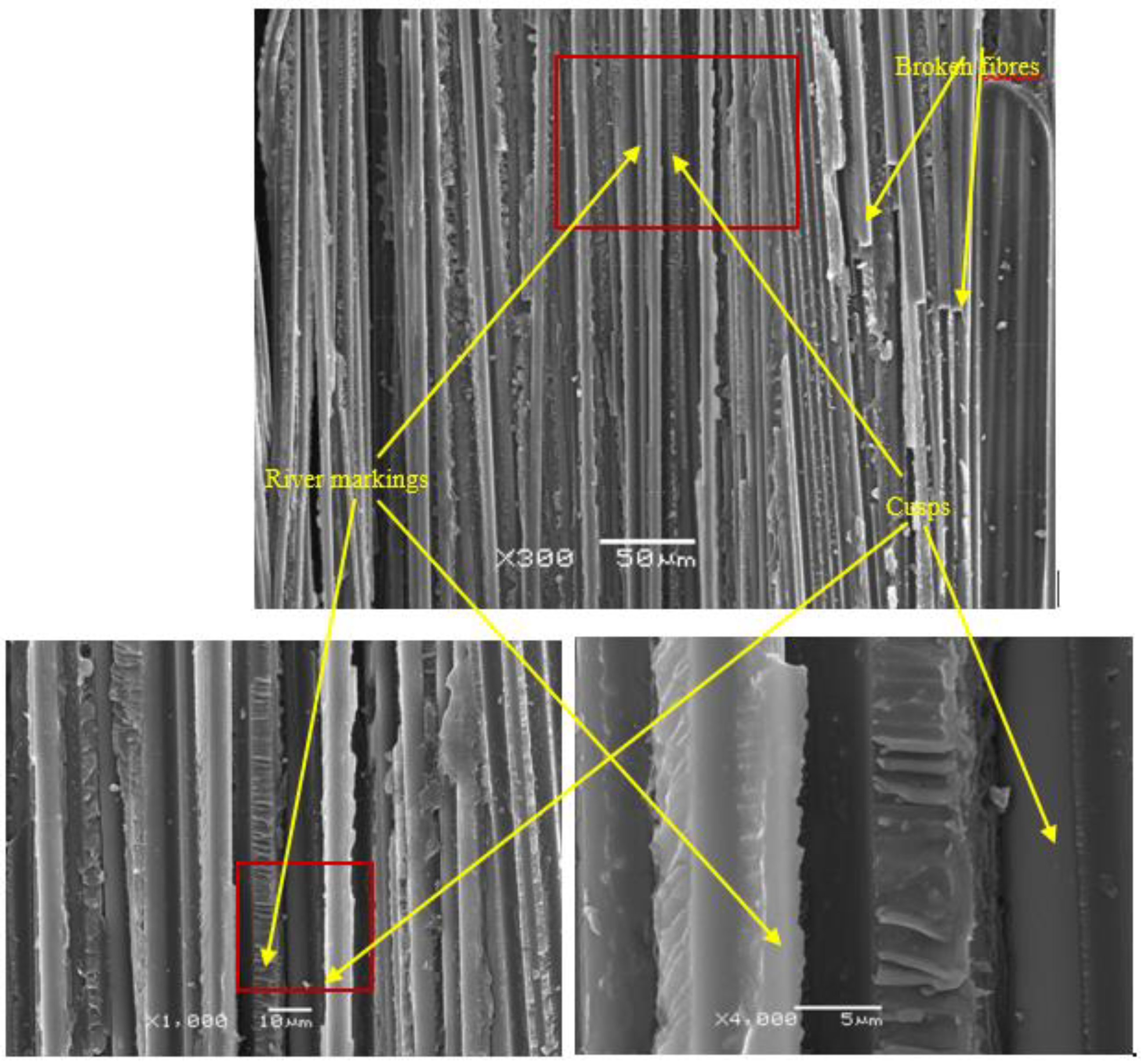 Polymers 11 01788 g009 Polymers 11 01788 g009